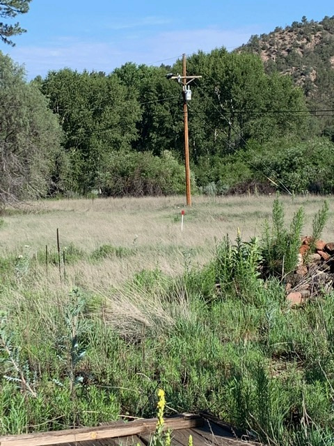 Walk/hike into your campsites by following the red blazes.  You will see the first red blaze on your left from the parking area.