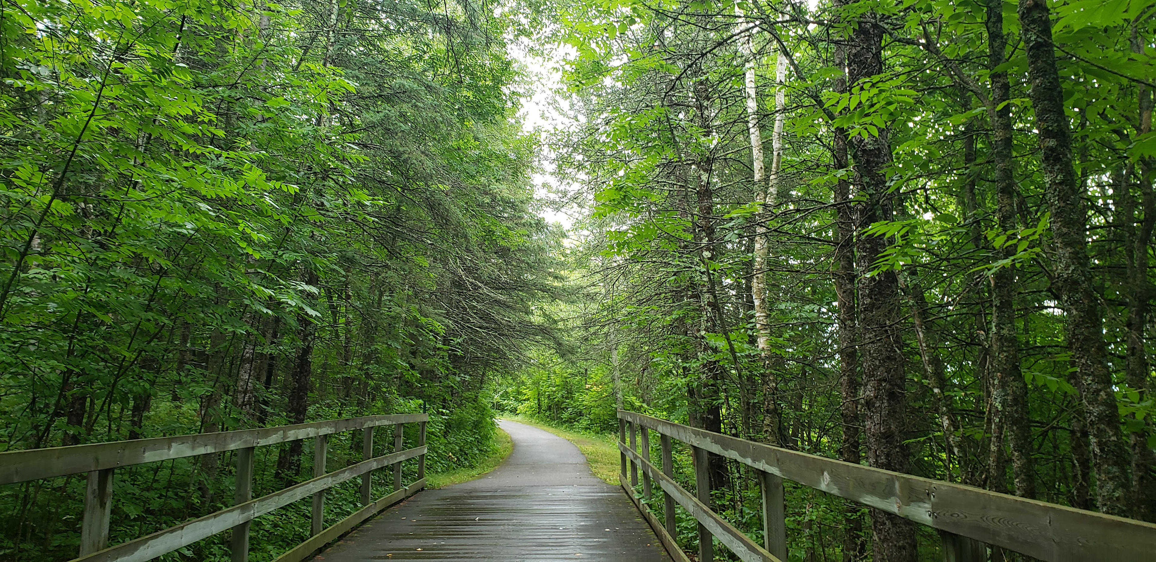 This boardwalk was on the bike trail. Very beautiful, but tons of skeeters!