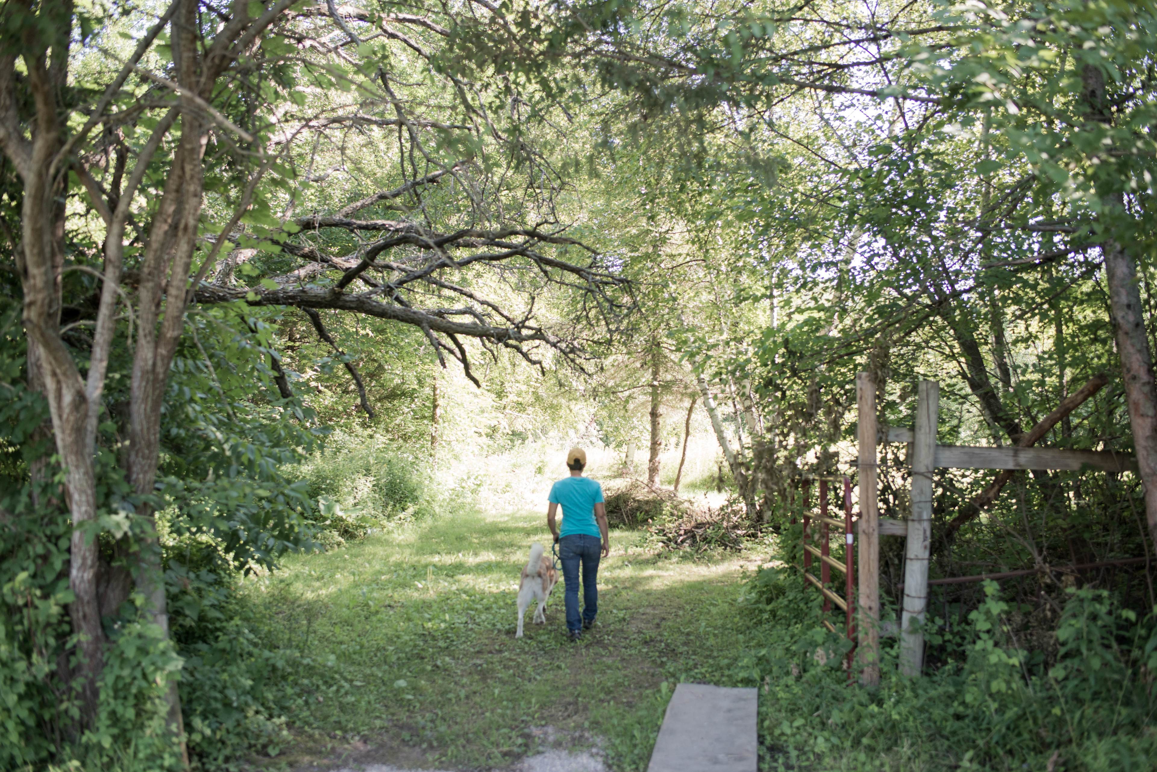 There are so many peaceful paths to hike