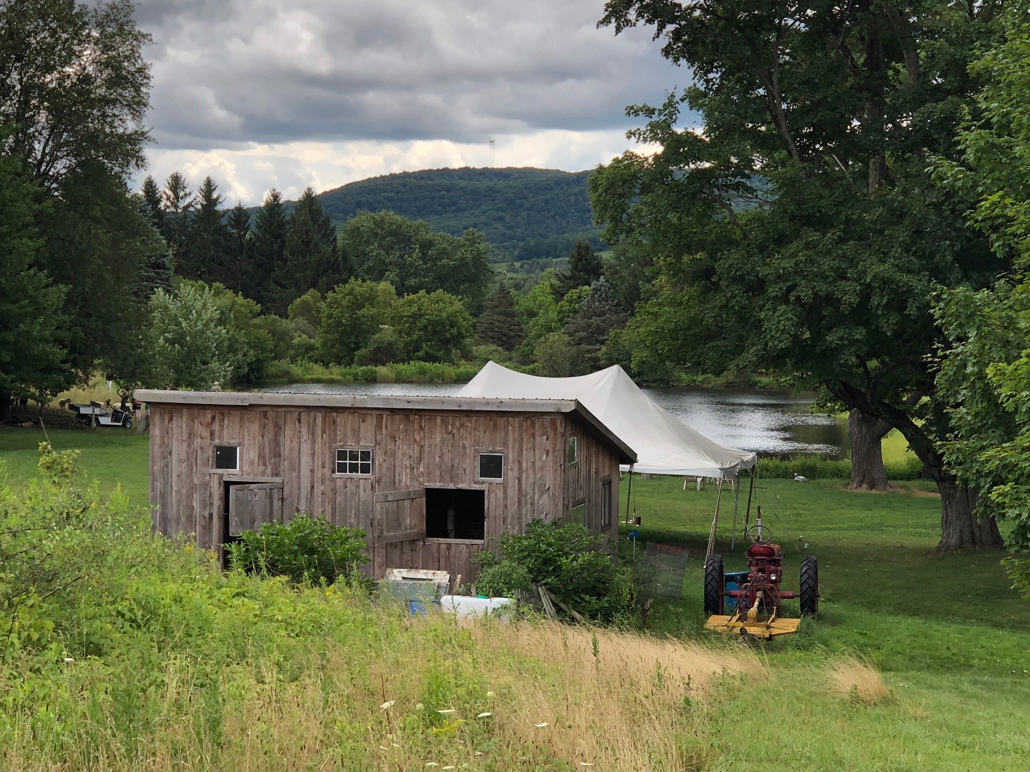 Underhill Forest and Farm