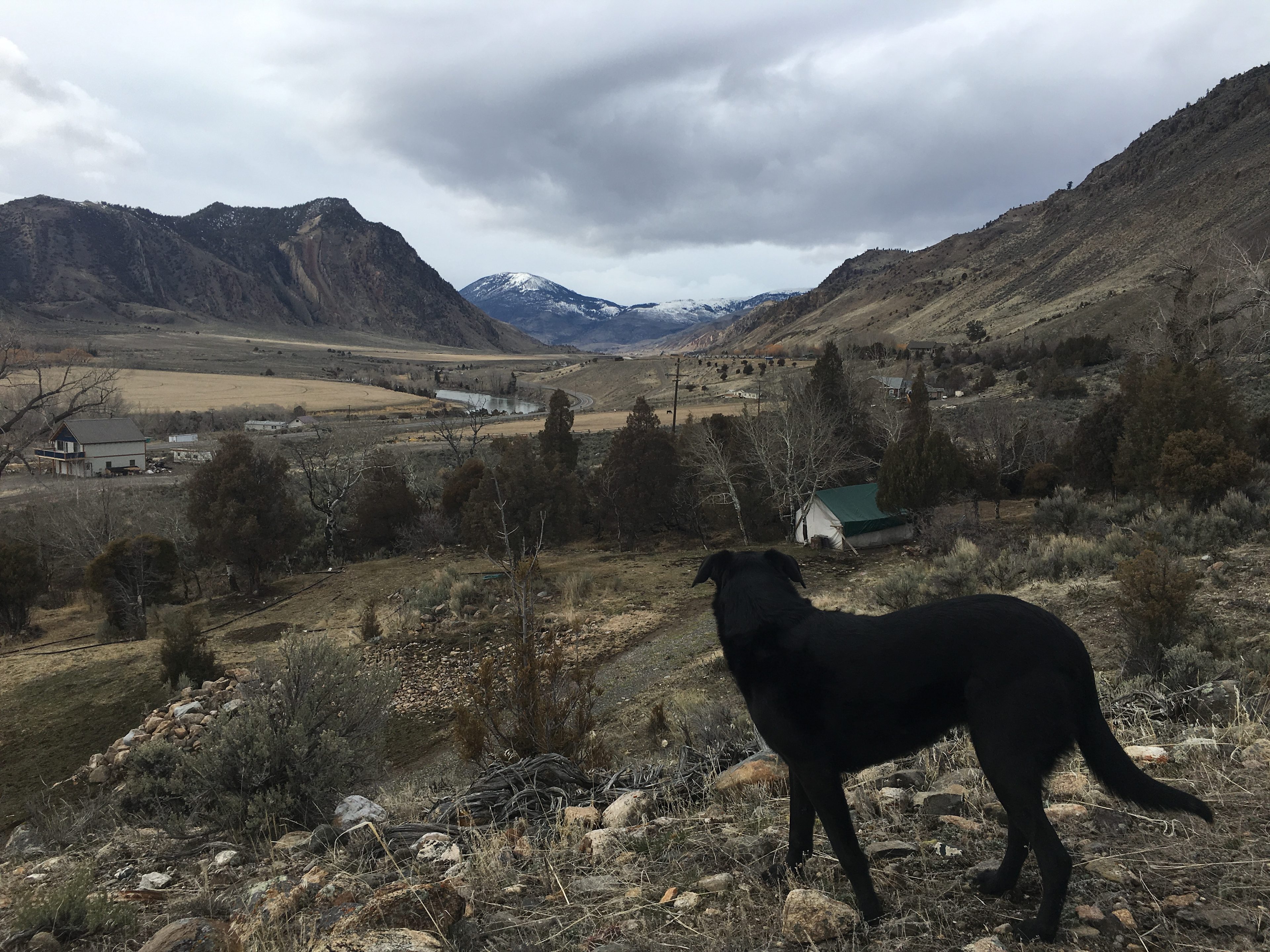 Homestead@LittleTrailCreekCabins