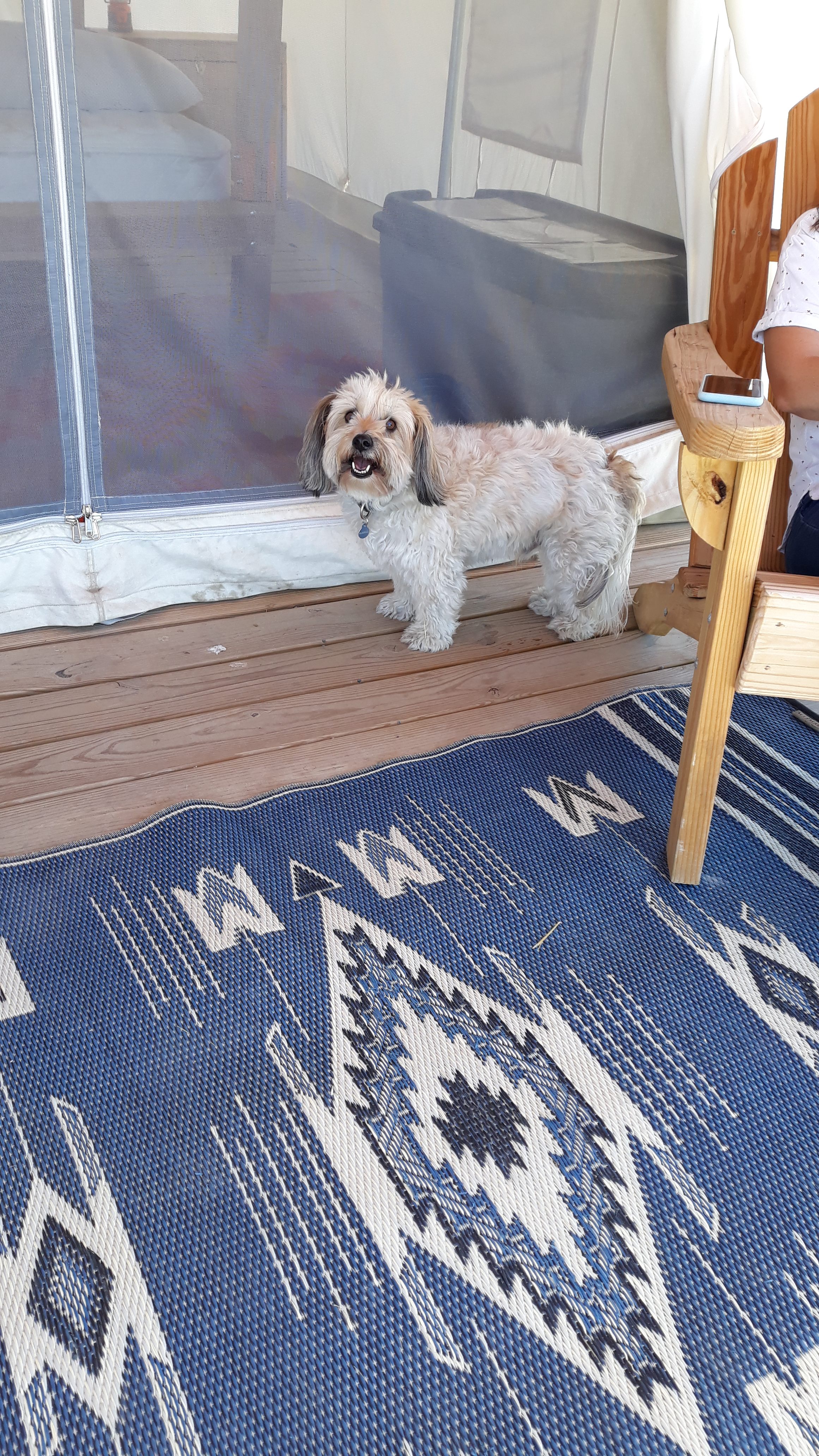 Four legged friends are welcome.