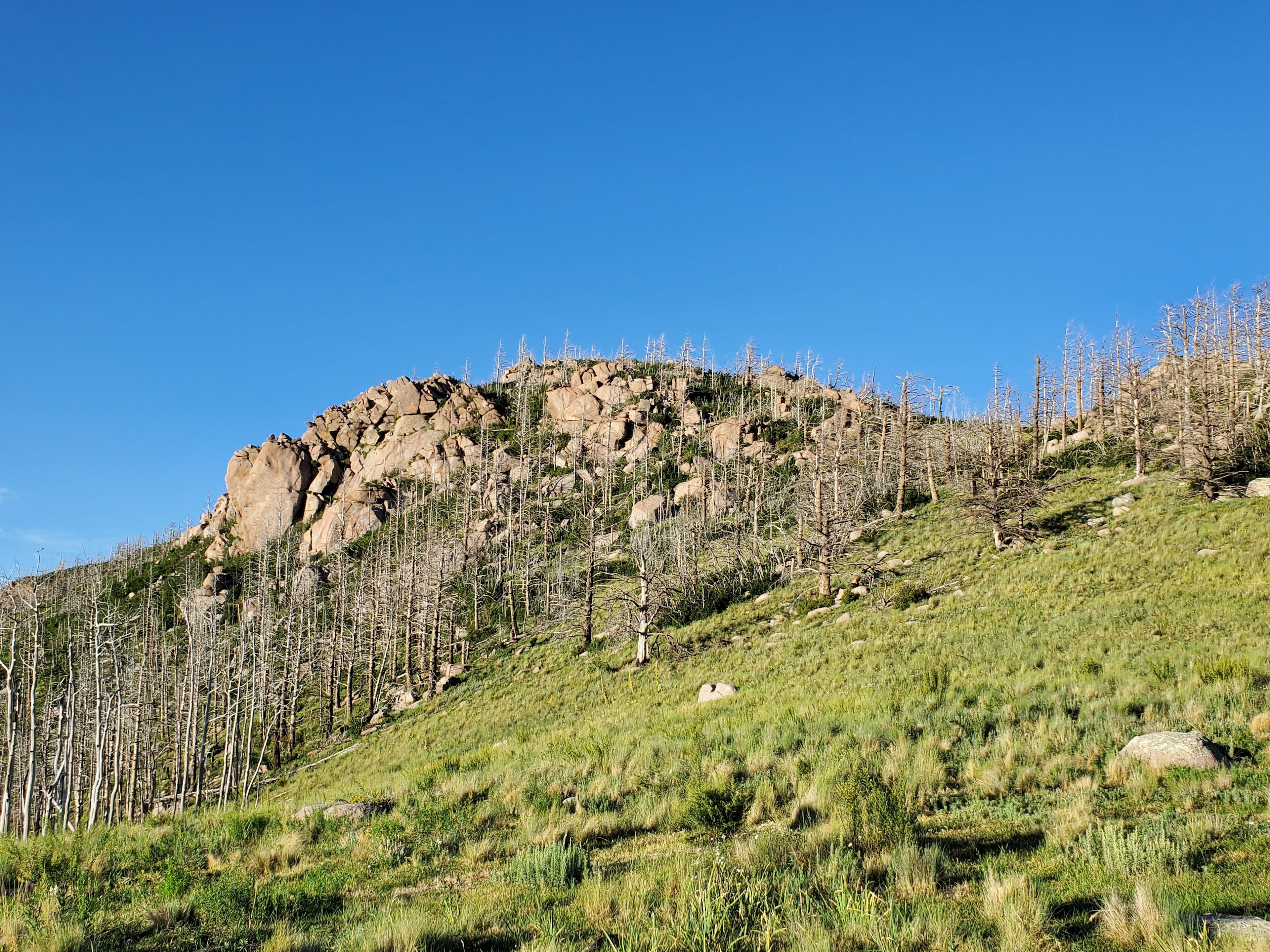 Rock outcropping and Sierra Blanca from the watchtower (copyright Jeff Rauland)