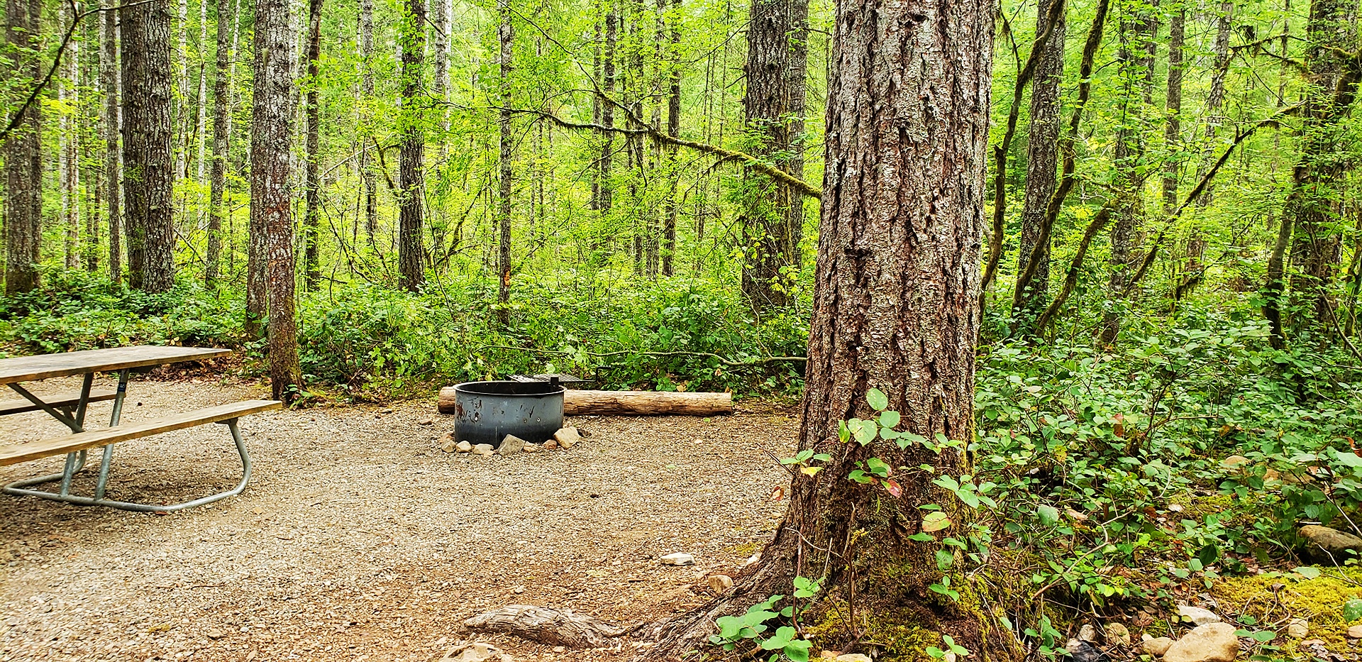 Big Creek Campground