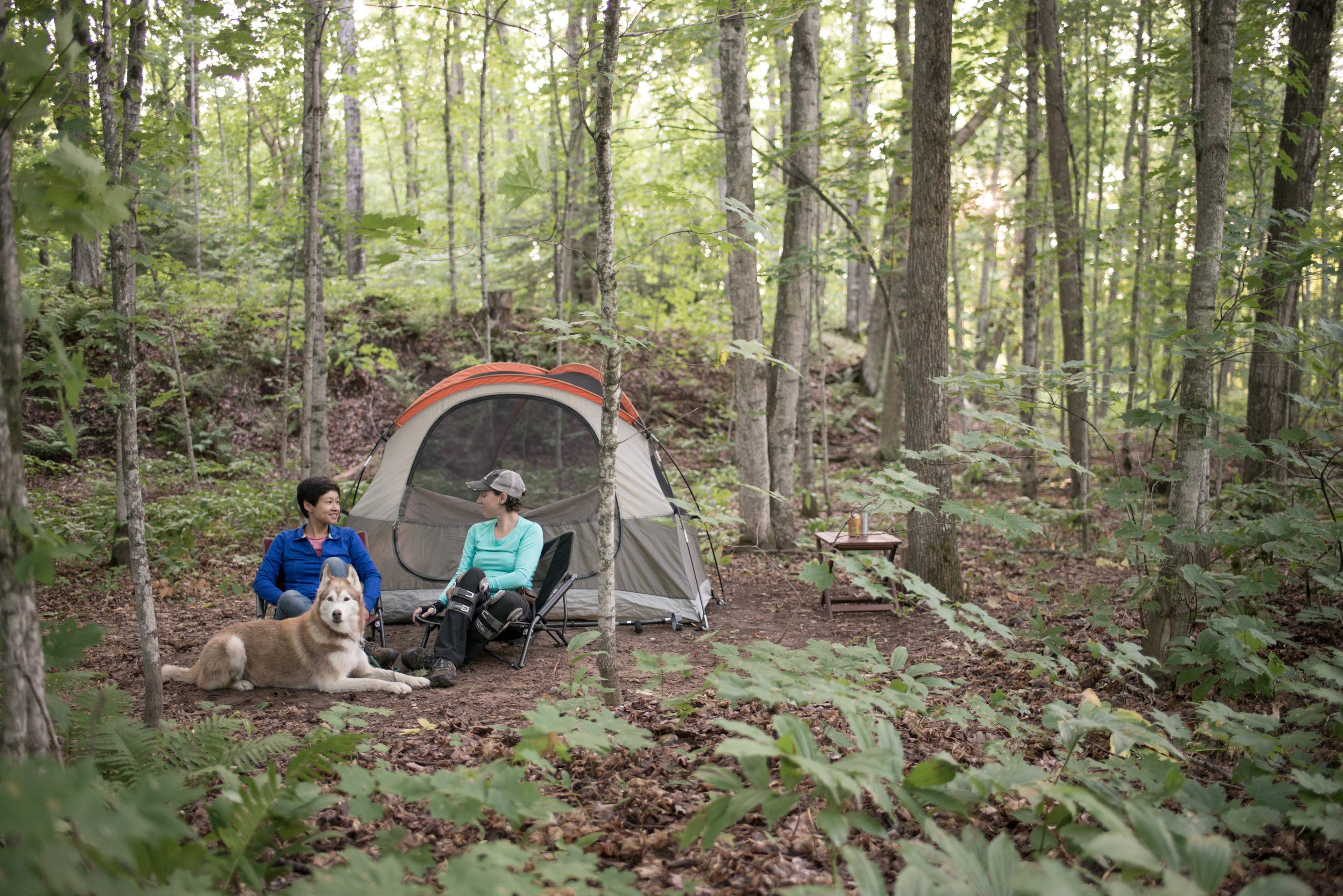 Bear Lake Meets da Yellow Dog