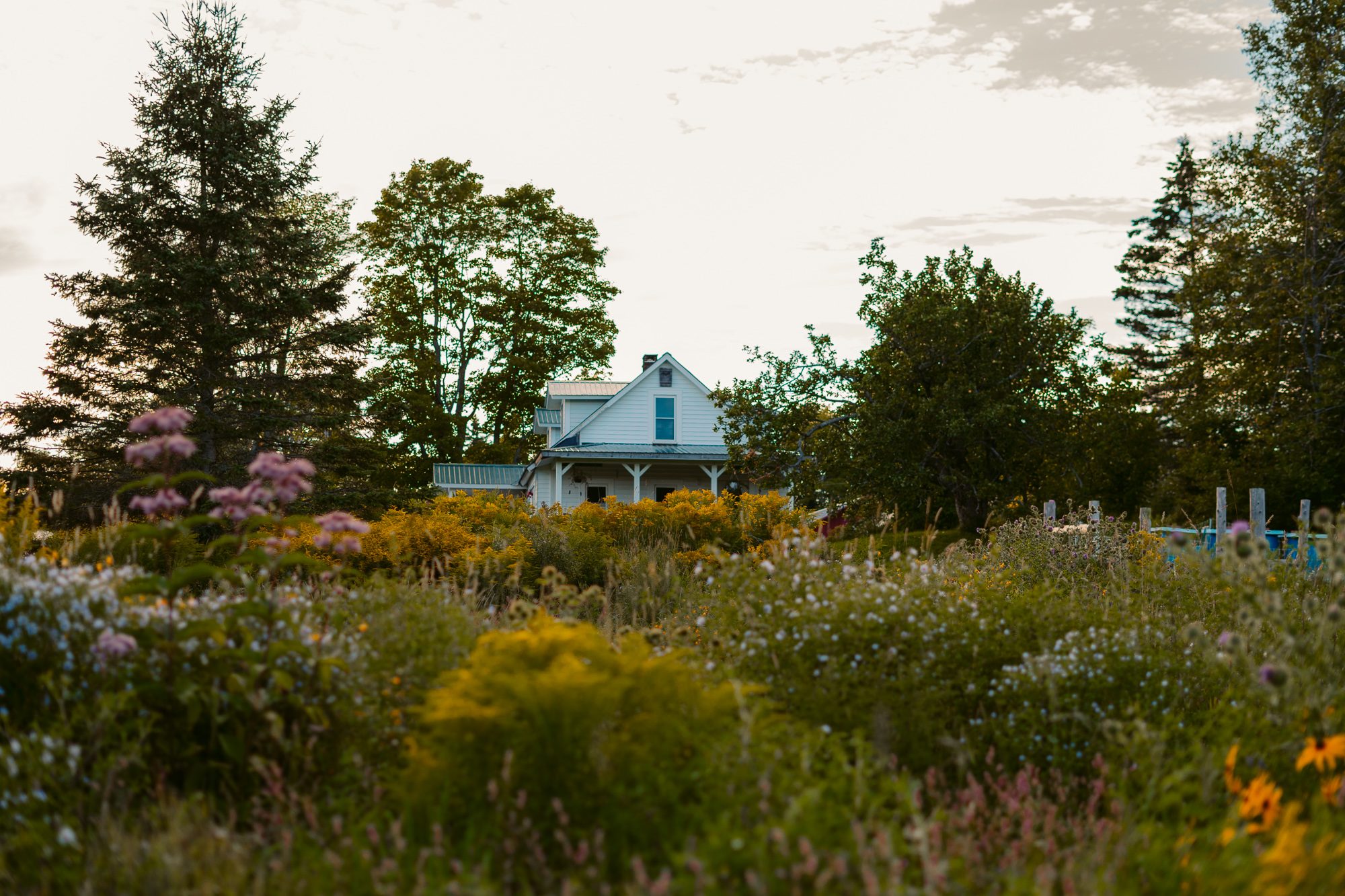 The main farm house is surrounded by beautiful flowers. 
