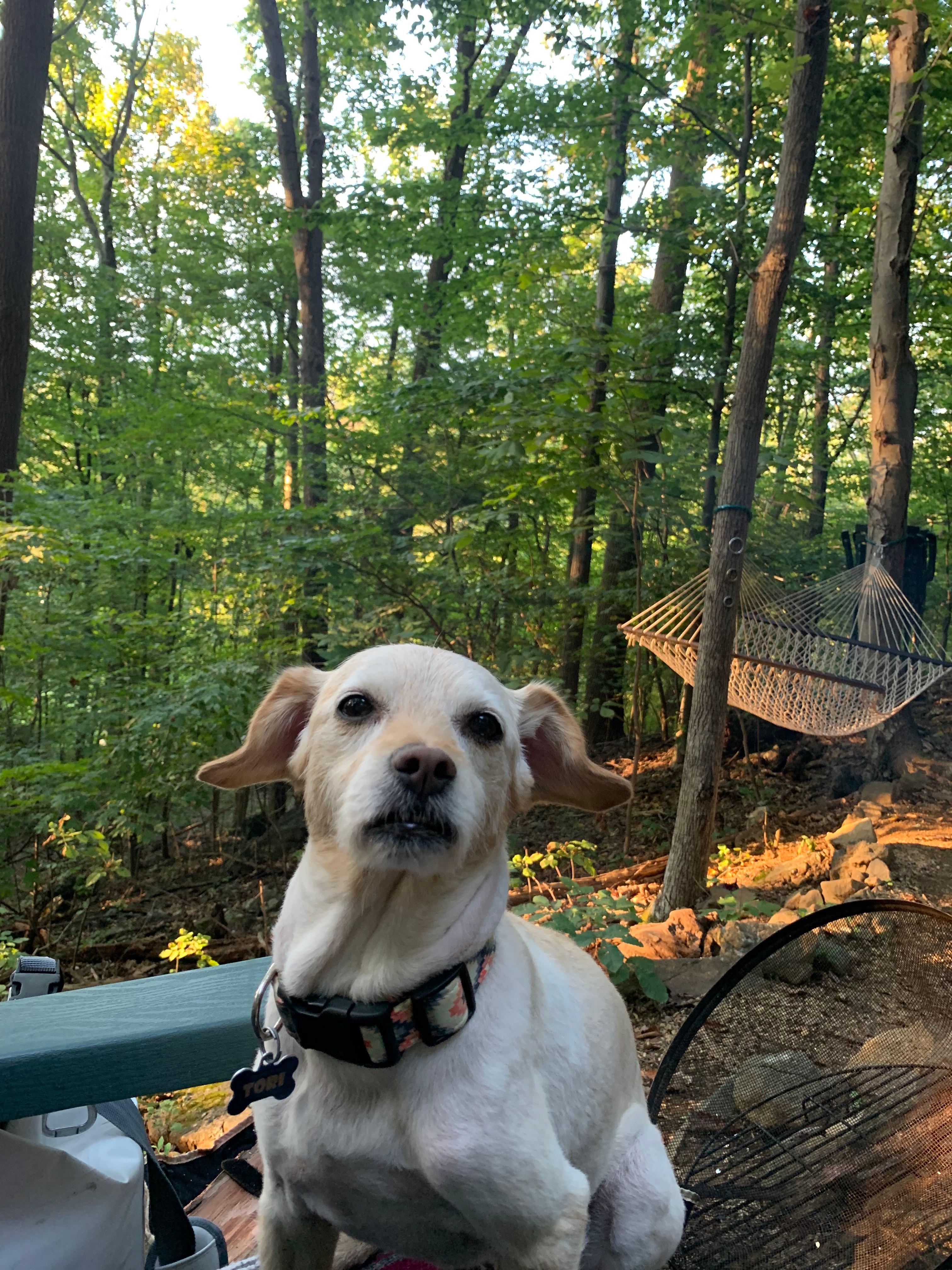 Even the furry ones enjoyed their time!