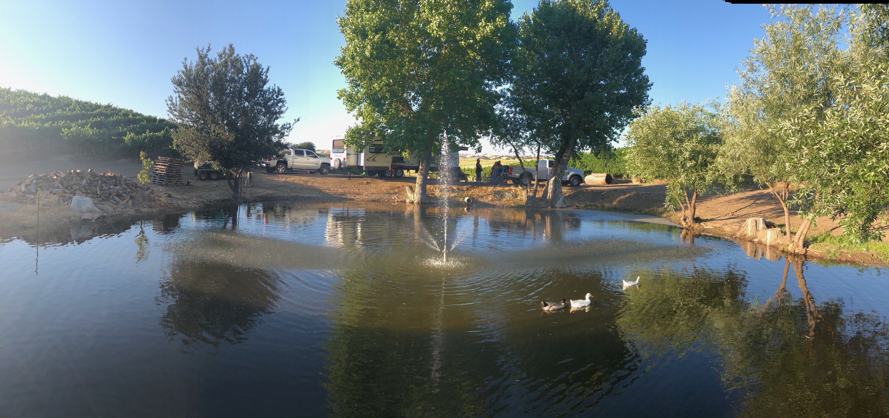Paso Robles Camping