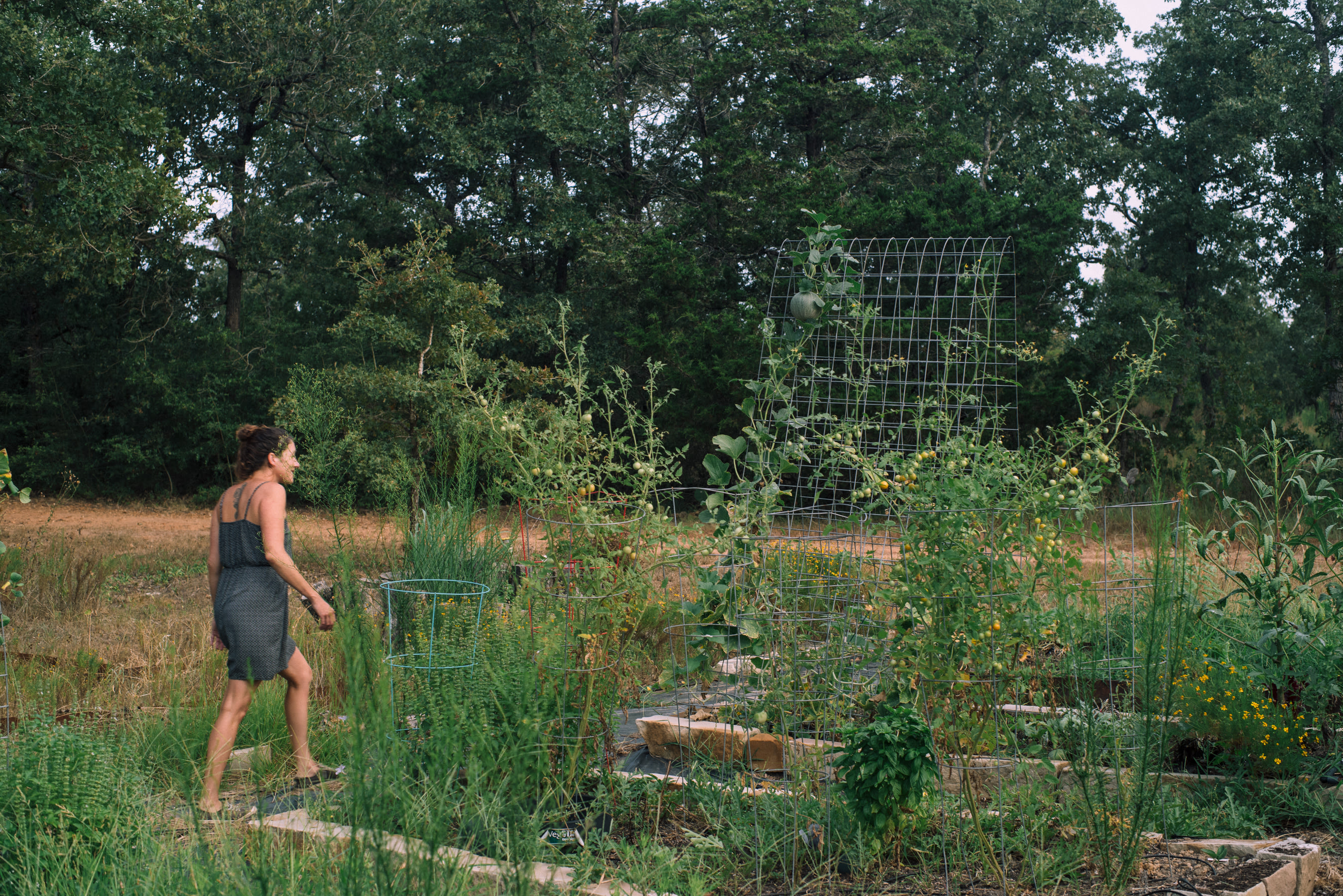 We had to take a look at some of the gardens.