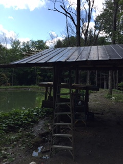 Little Sister's Campsite