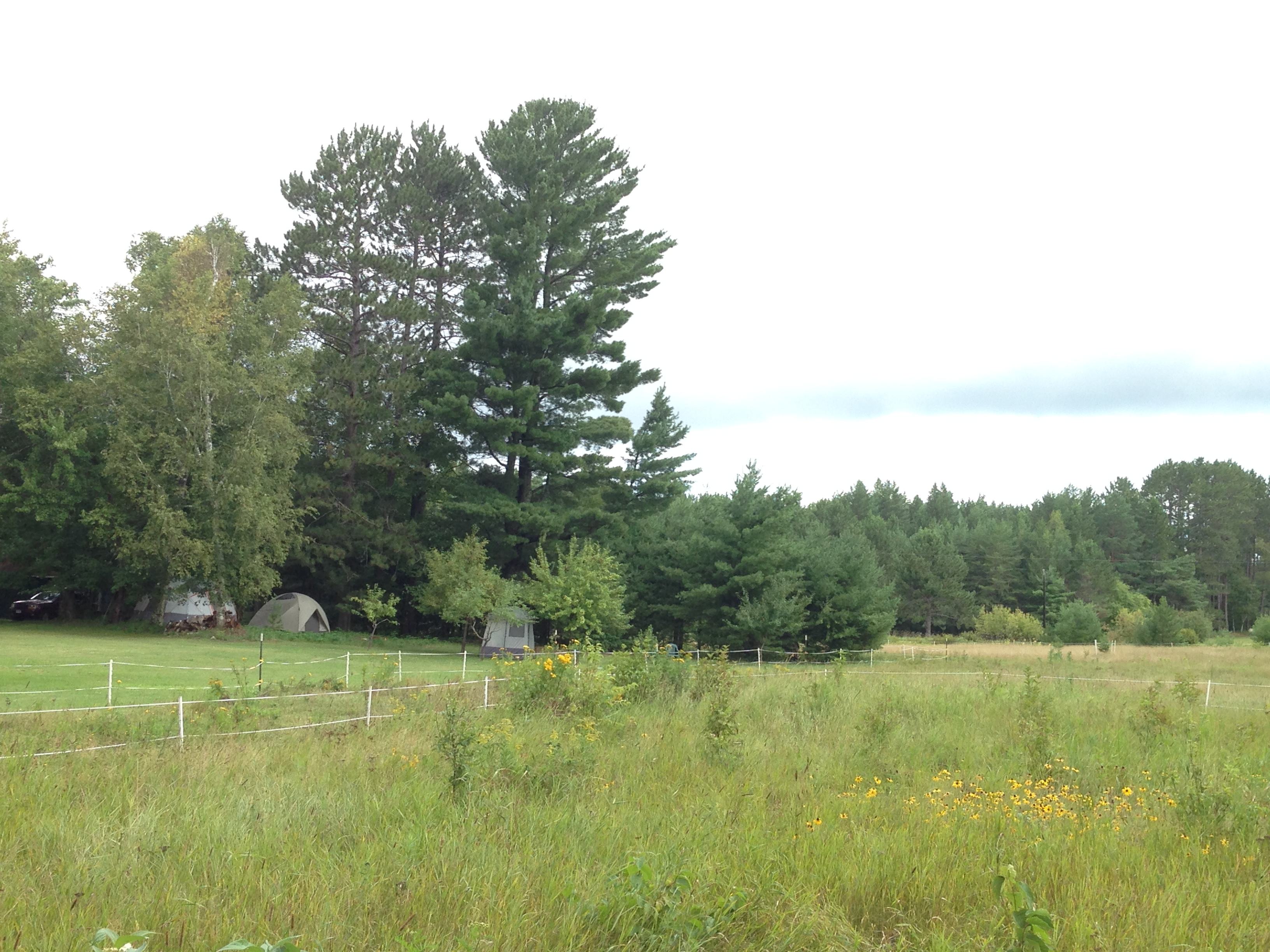 A horse eye view of the campsites from the south field