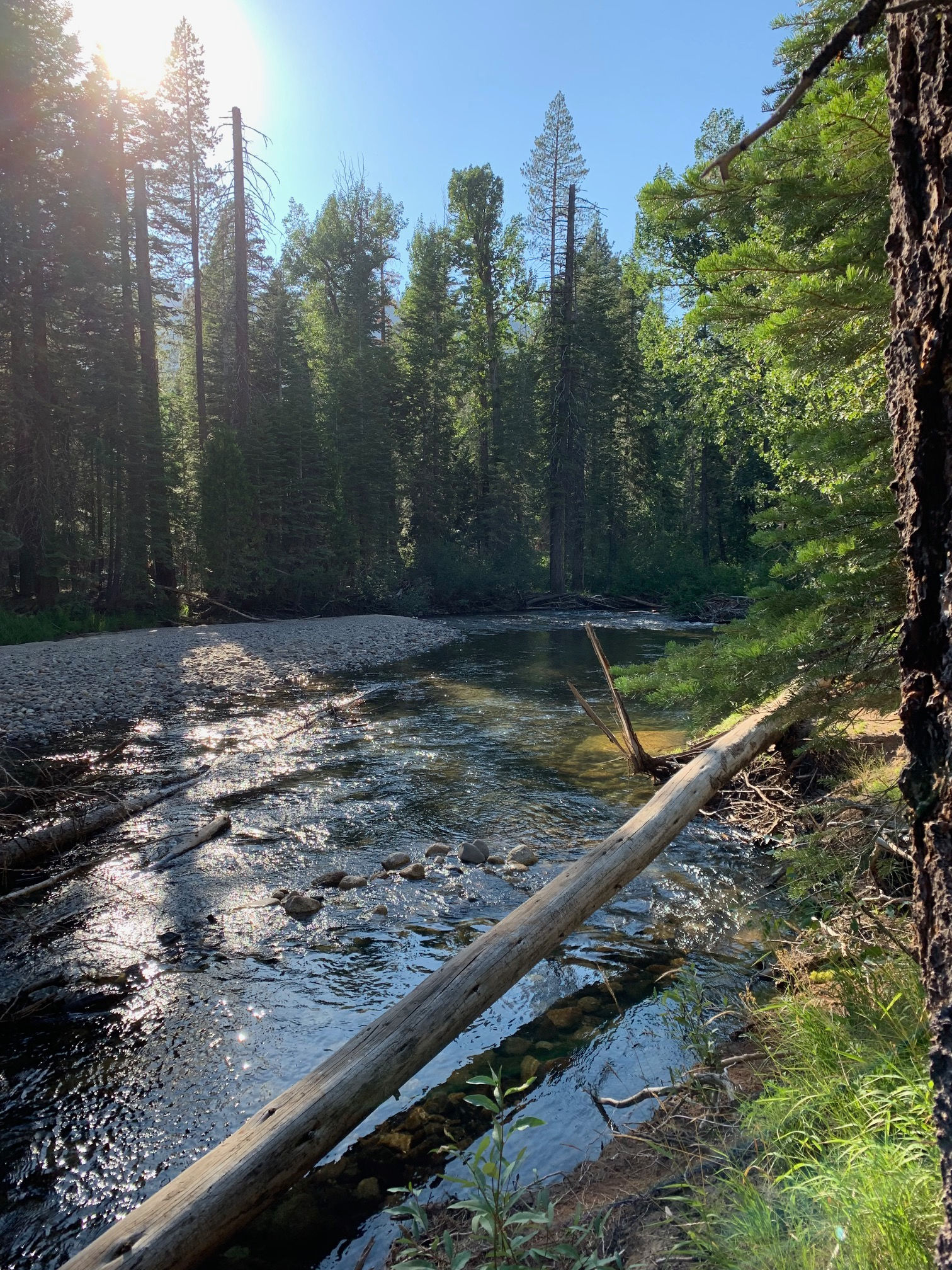 Sand Flat Campground