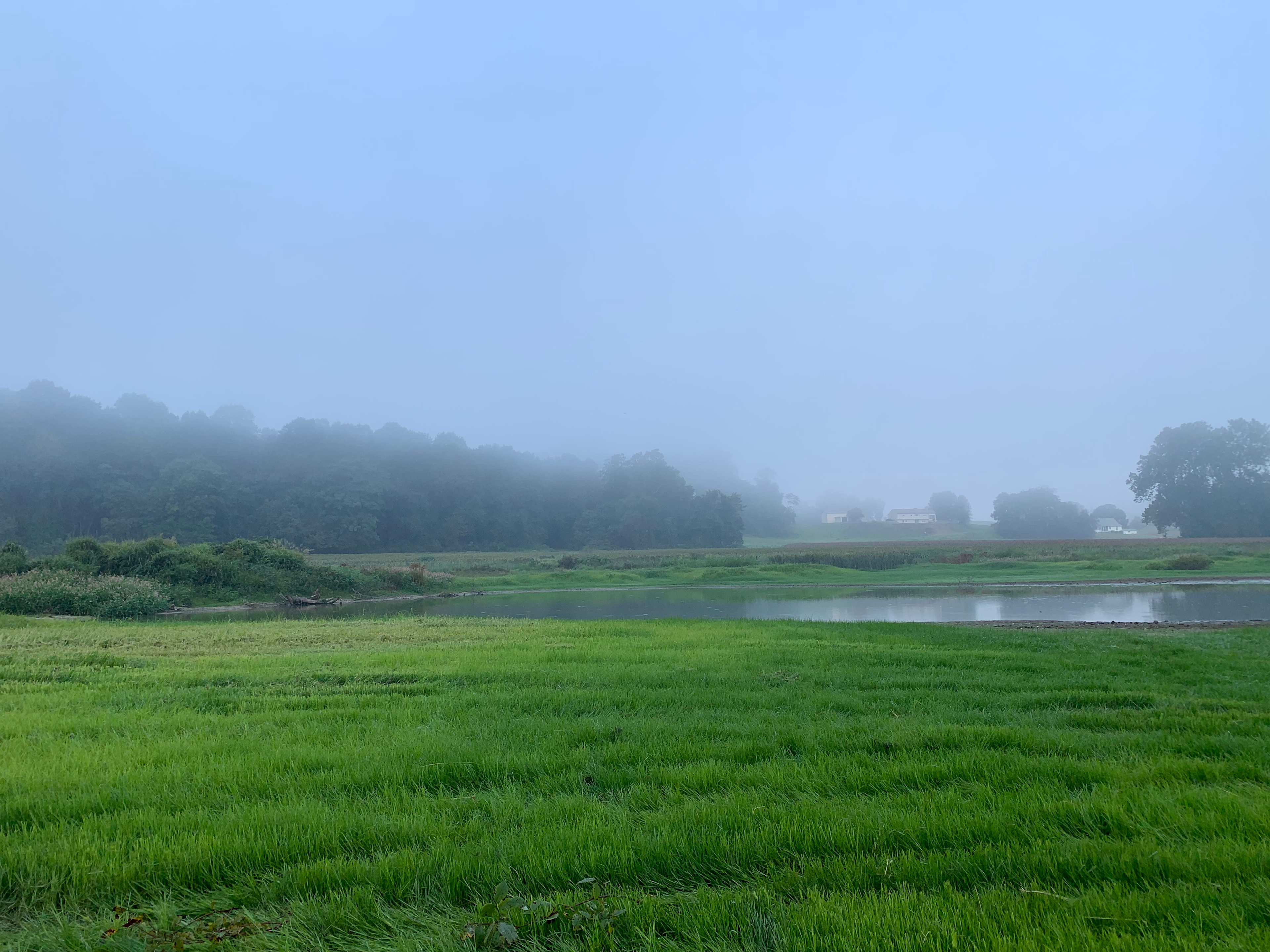 Bald Eagle Farm on the Patuxent