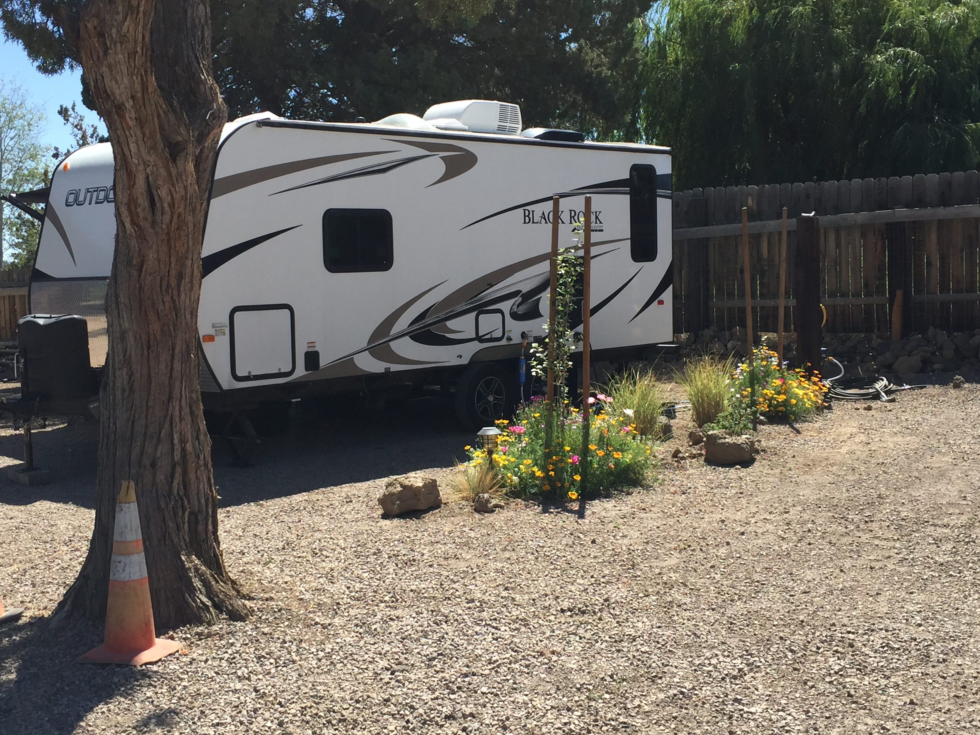 Season flowers around site