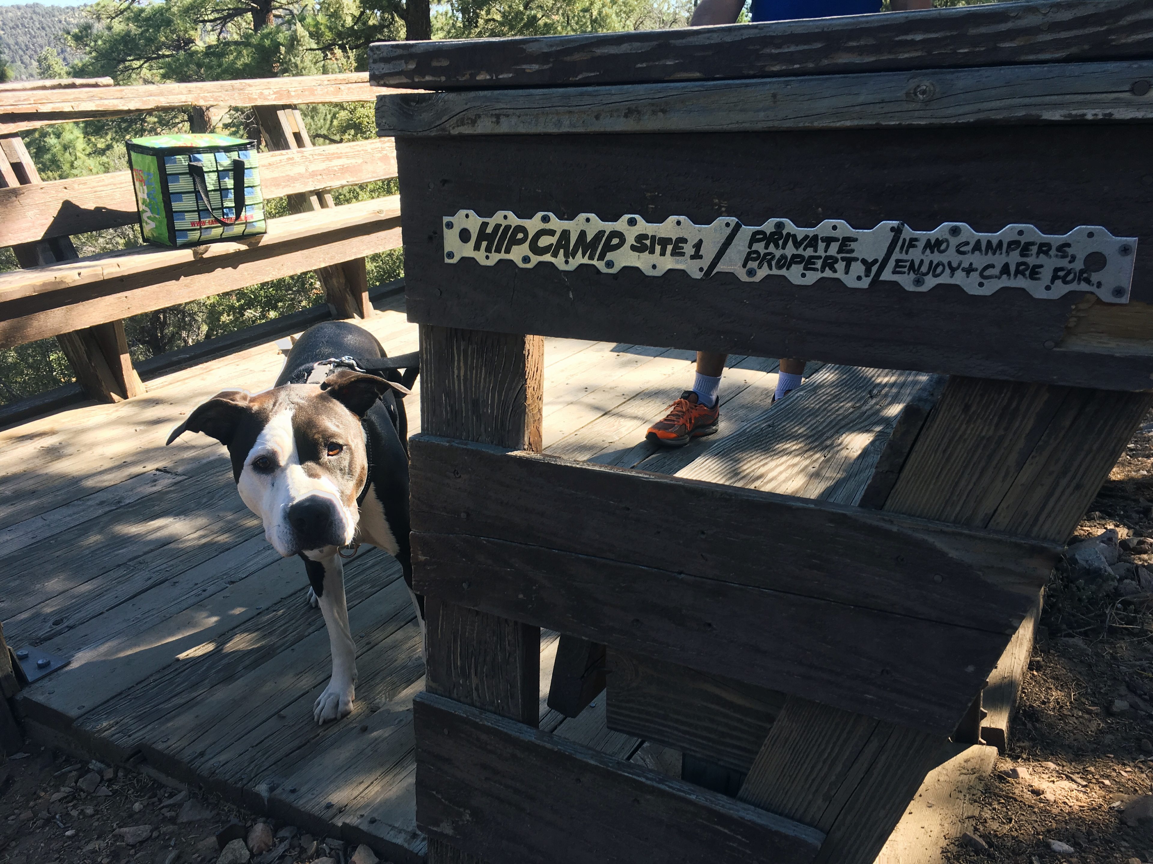 Korey's first camping trip, he loves the Star Deck!