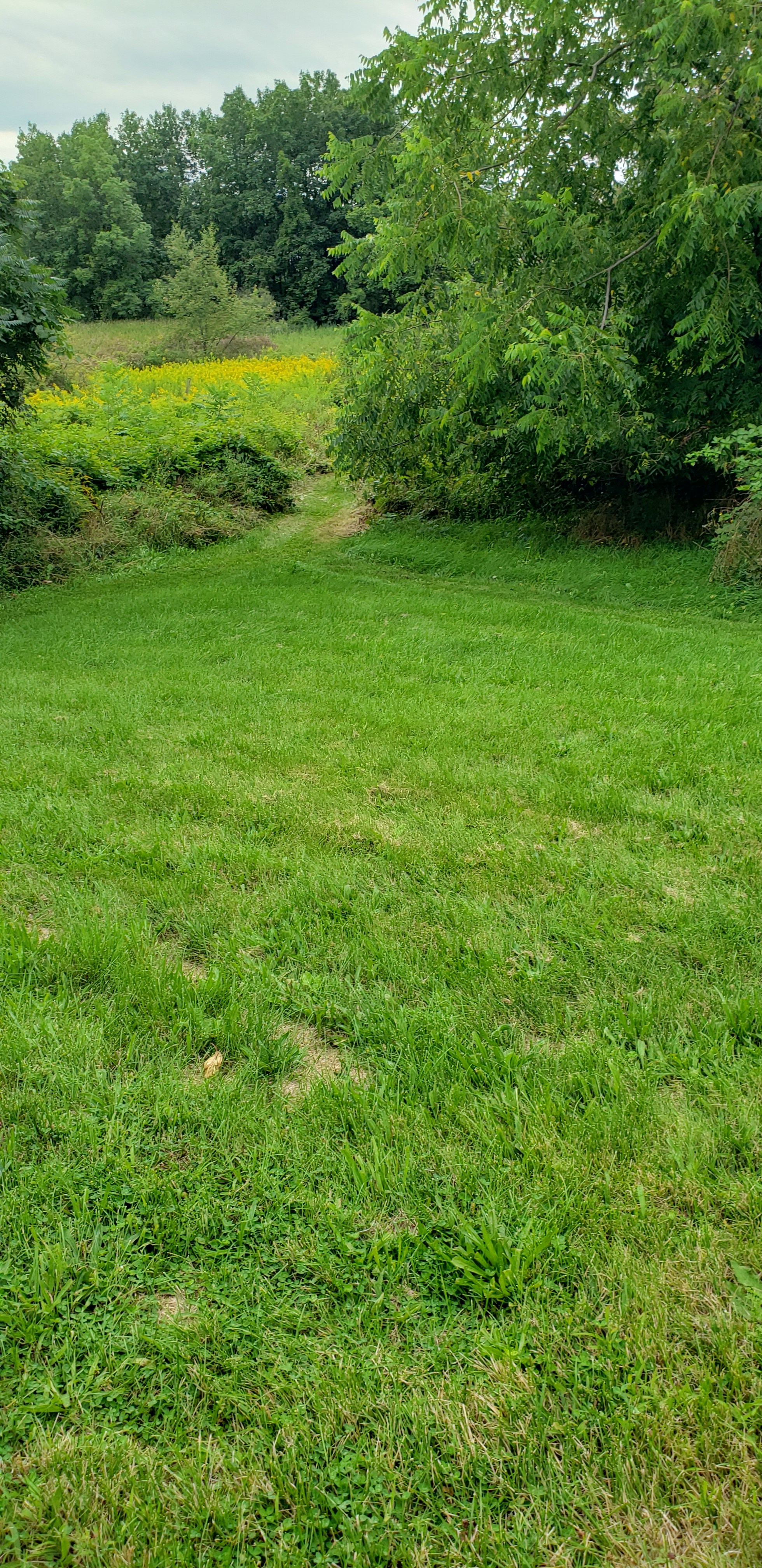 Lil Bit of Country-Pleasant PlaceII