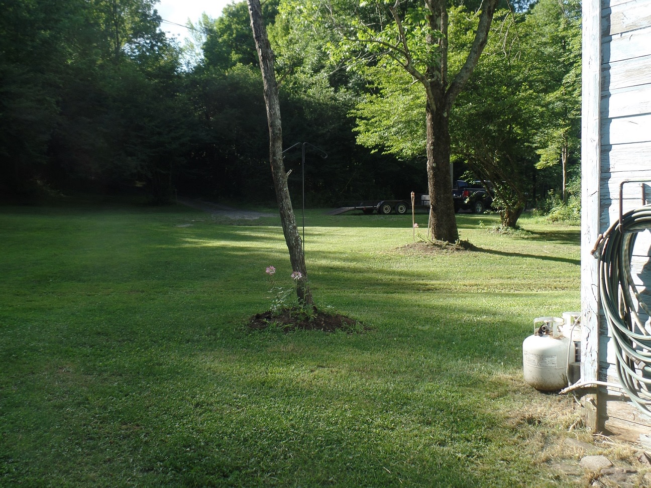Looking toward parking area, which is the driveway entrance from Three Lakes Rd.  Be aware that the driveway is a bit on the STEEP side, and is nearly a 90-degree turn in from the road.