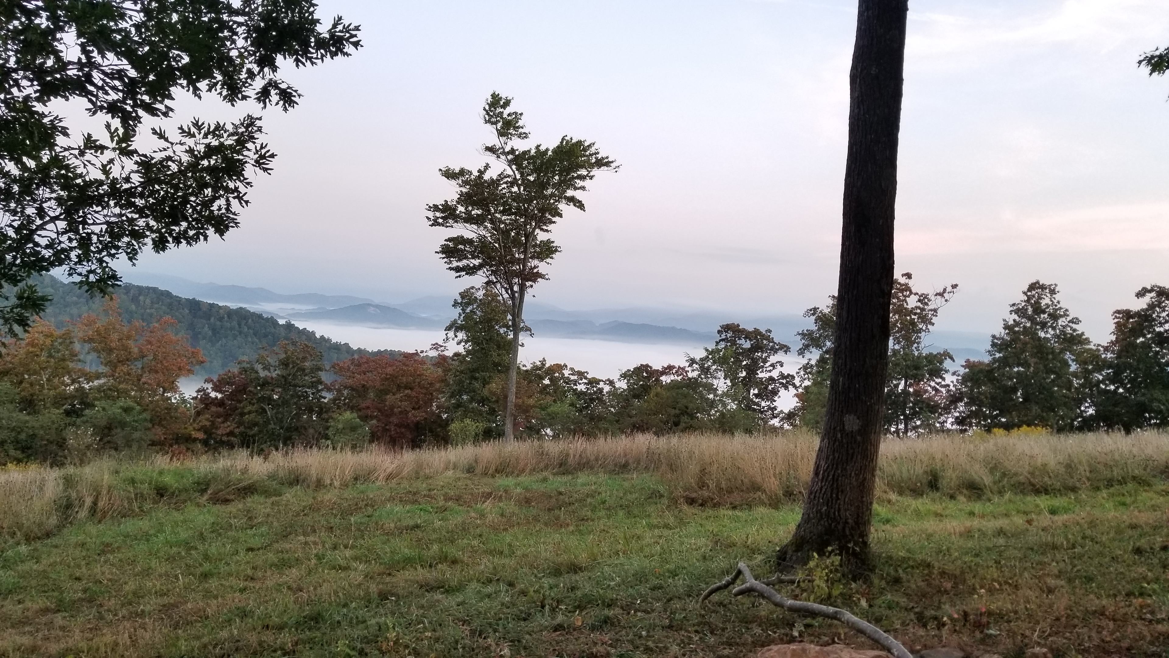 Fog in the valley below~