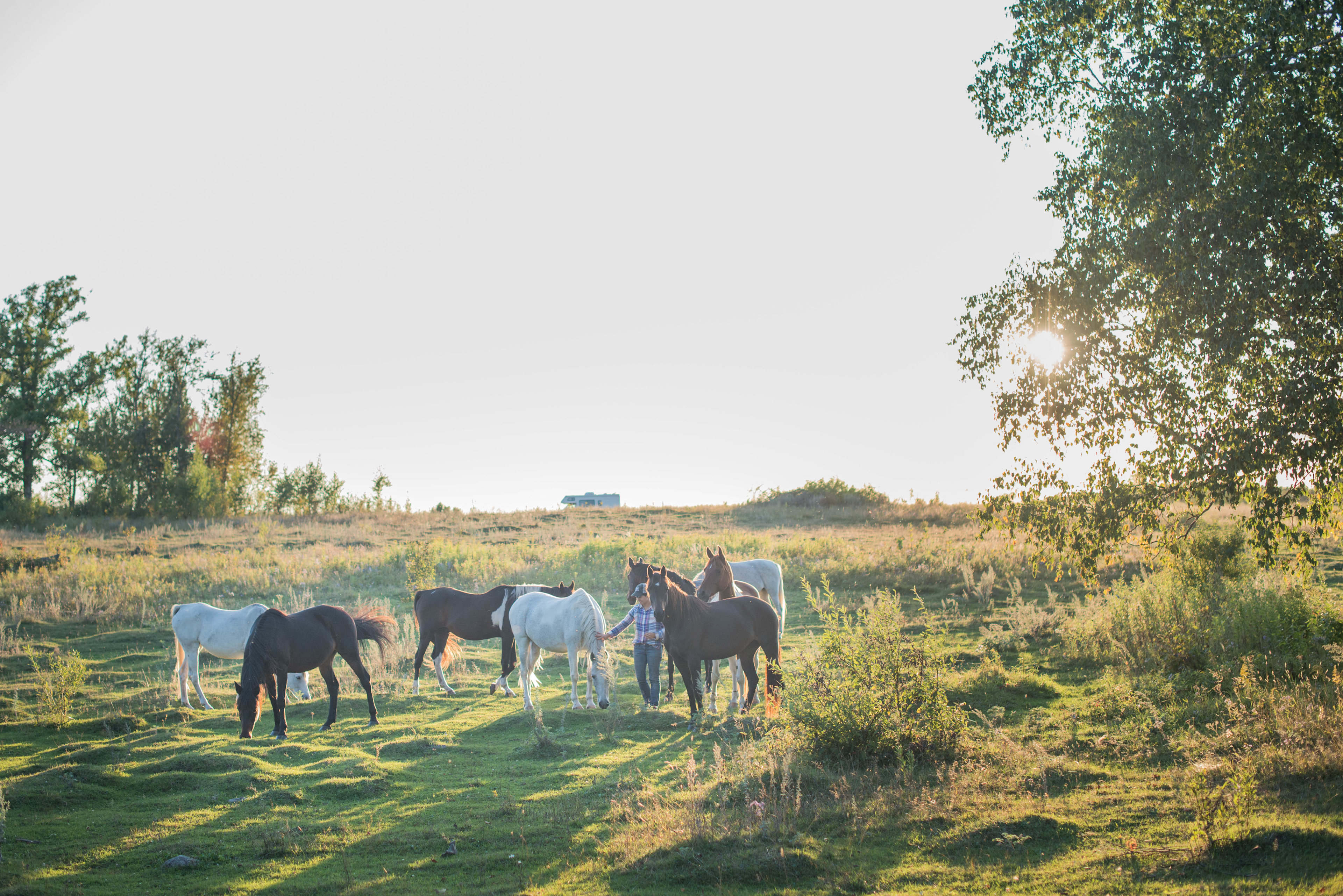 We loved the sweet horses on the property!
