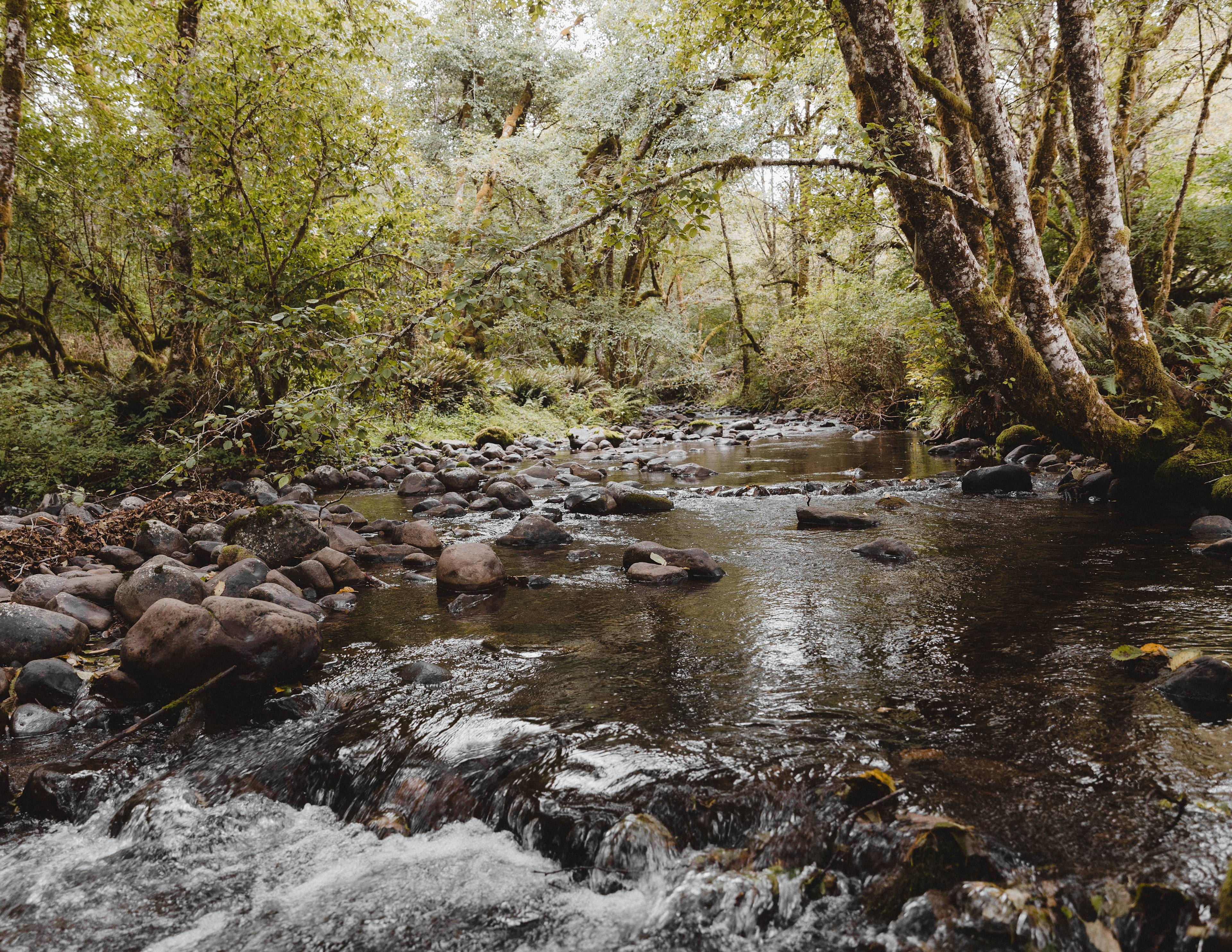 Powder Creek Campground