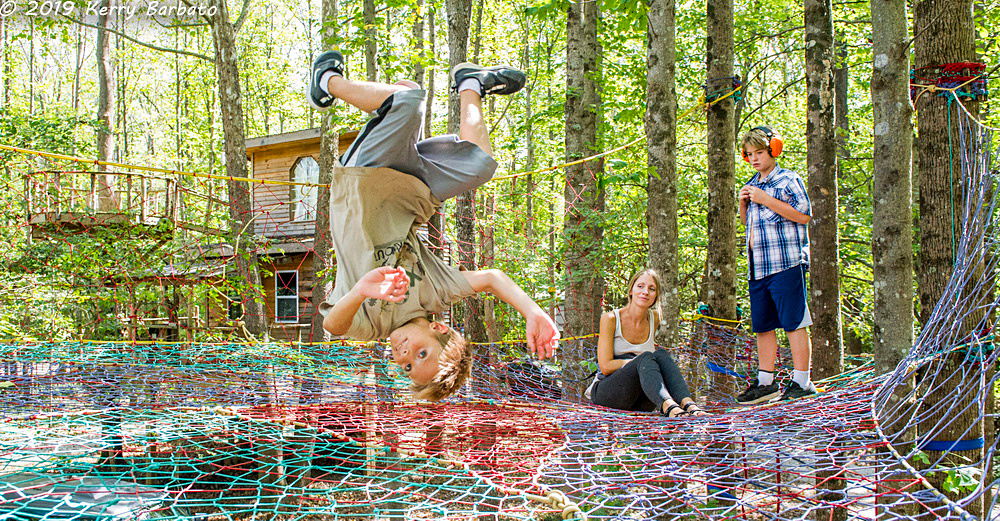 Kits flip for fun in the tree web