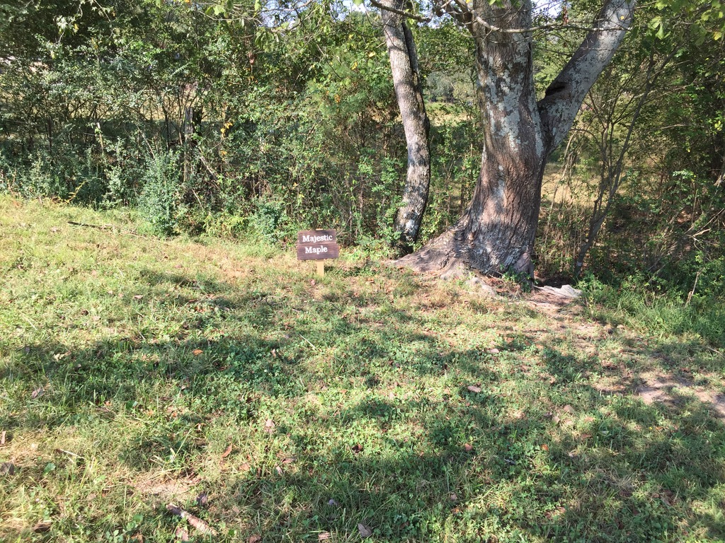 New Norm Farm Campgrounds