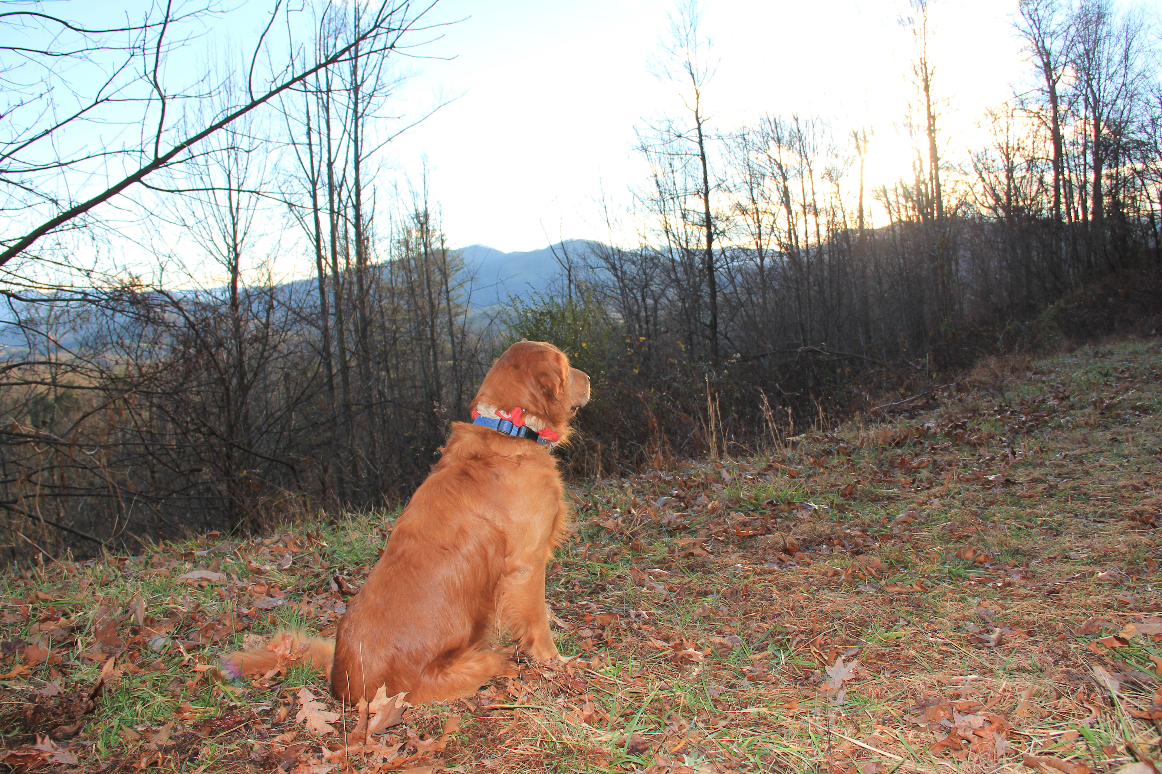 The flat area for tents, it's a larger area & we will update picture as soon as possible.