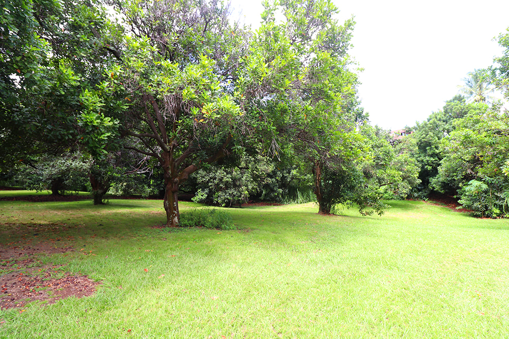 another potential campsite