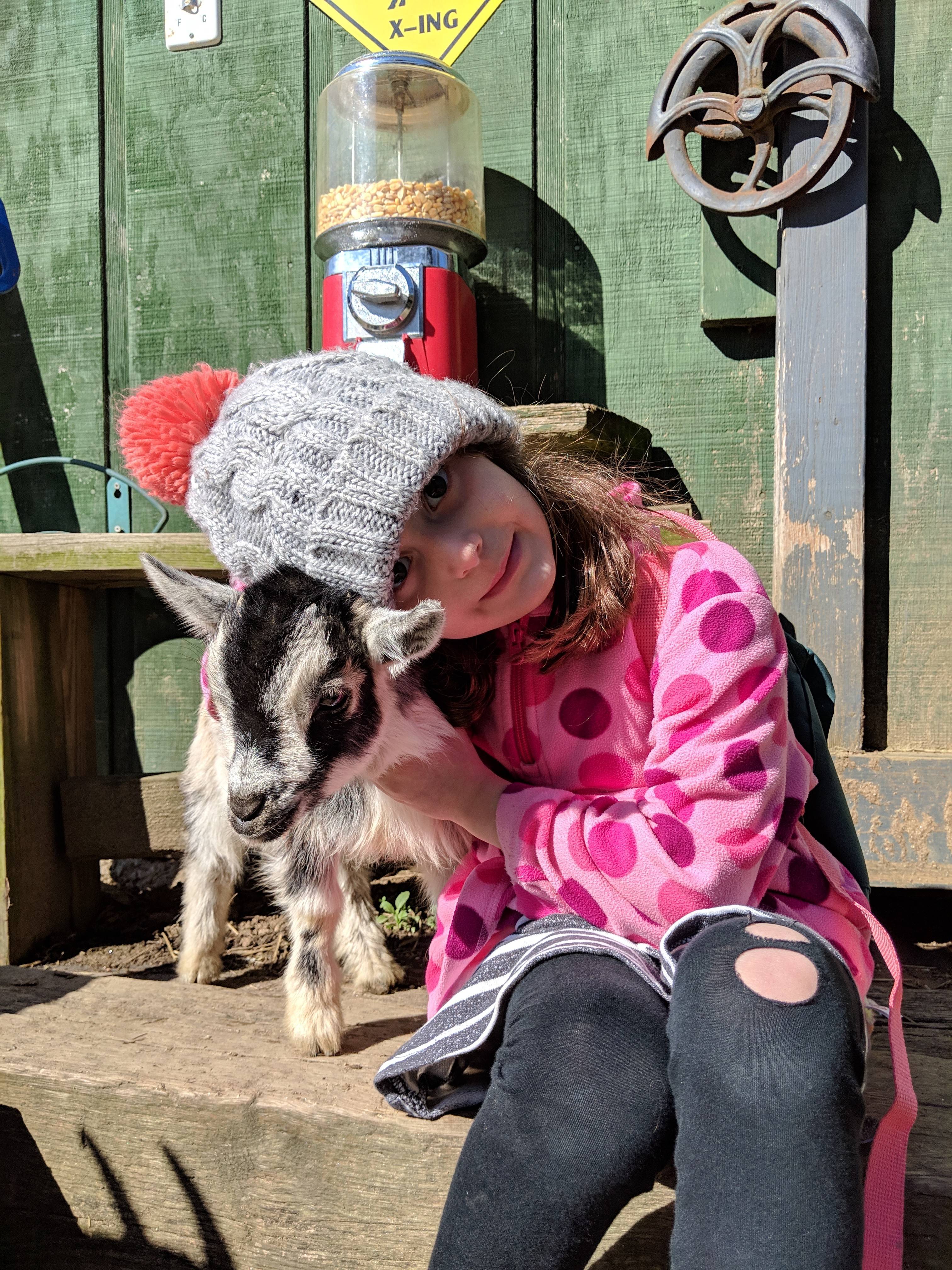 Some times our goats get out...we call them the 'scape goats! 