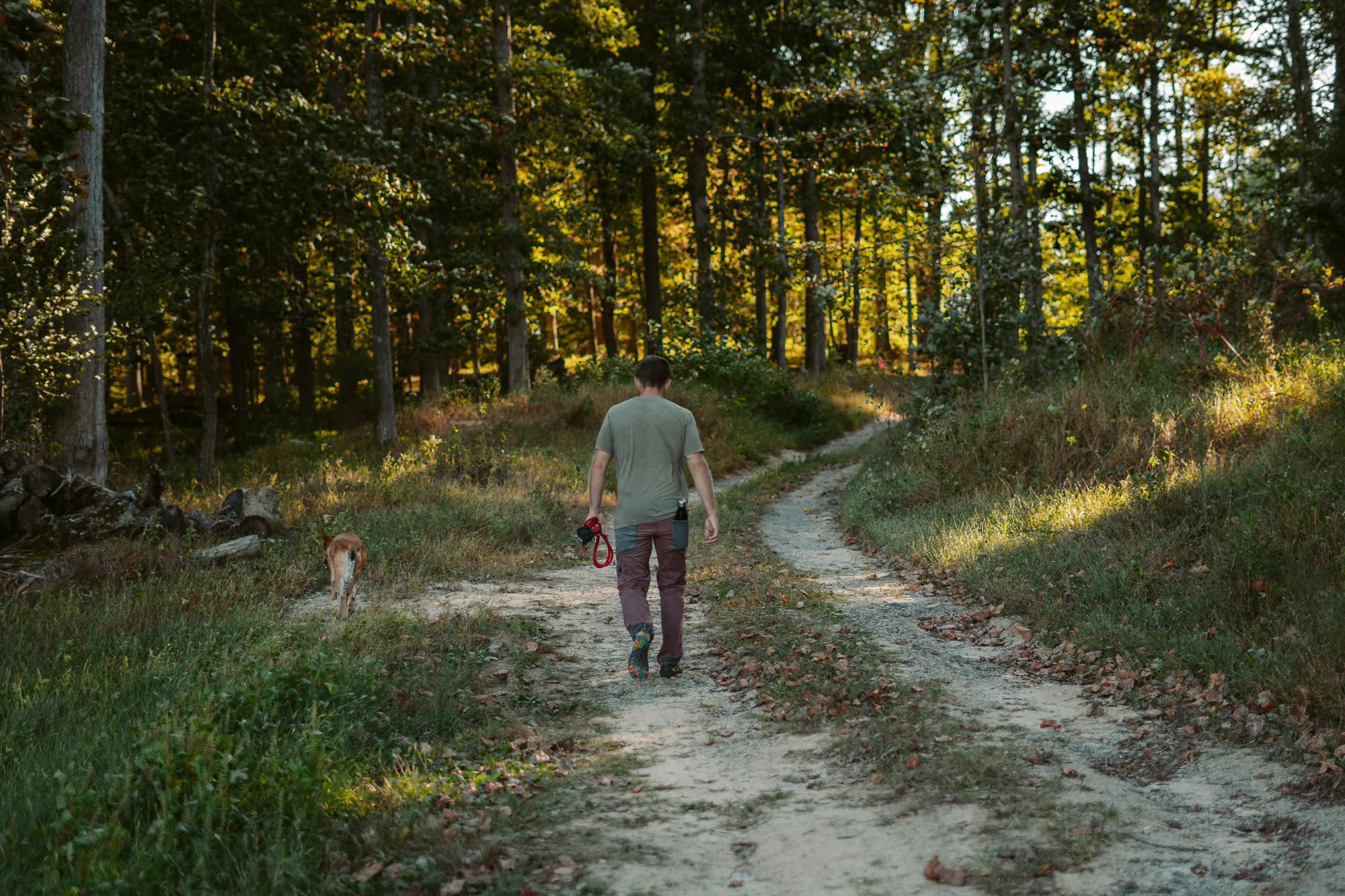 The property is 309 acres, so you can walk for a long time before you have to worry about neighbors or main roads. 