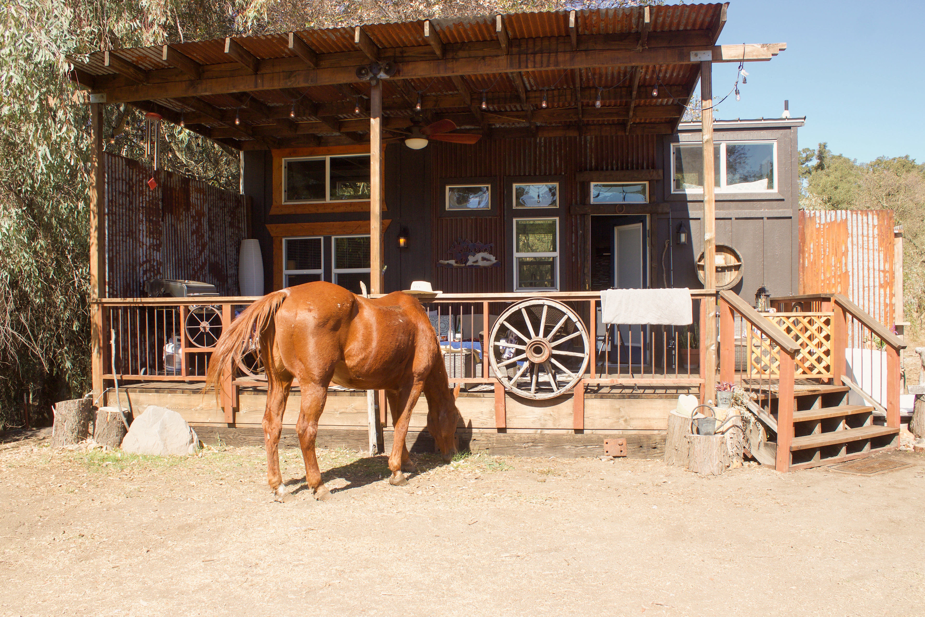 Horses on the property roam free and if you're lucky like we were, they greeted us in the morning as we were hanging out on the porch having our breakfast!
