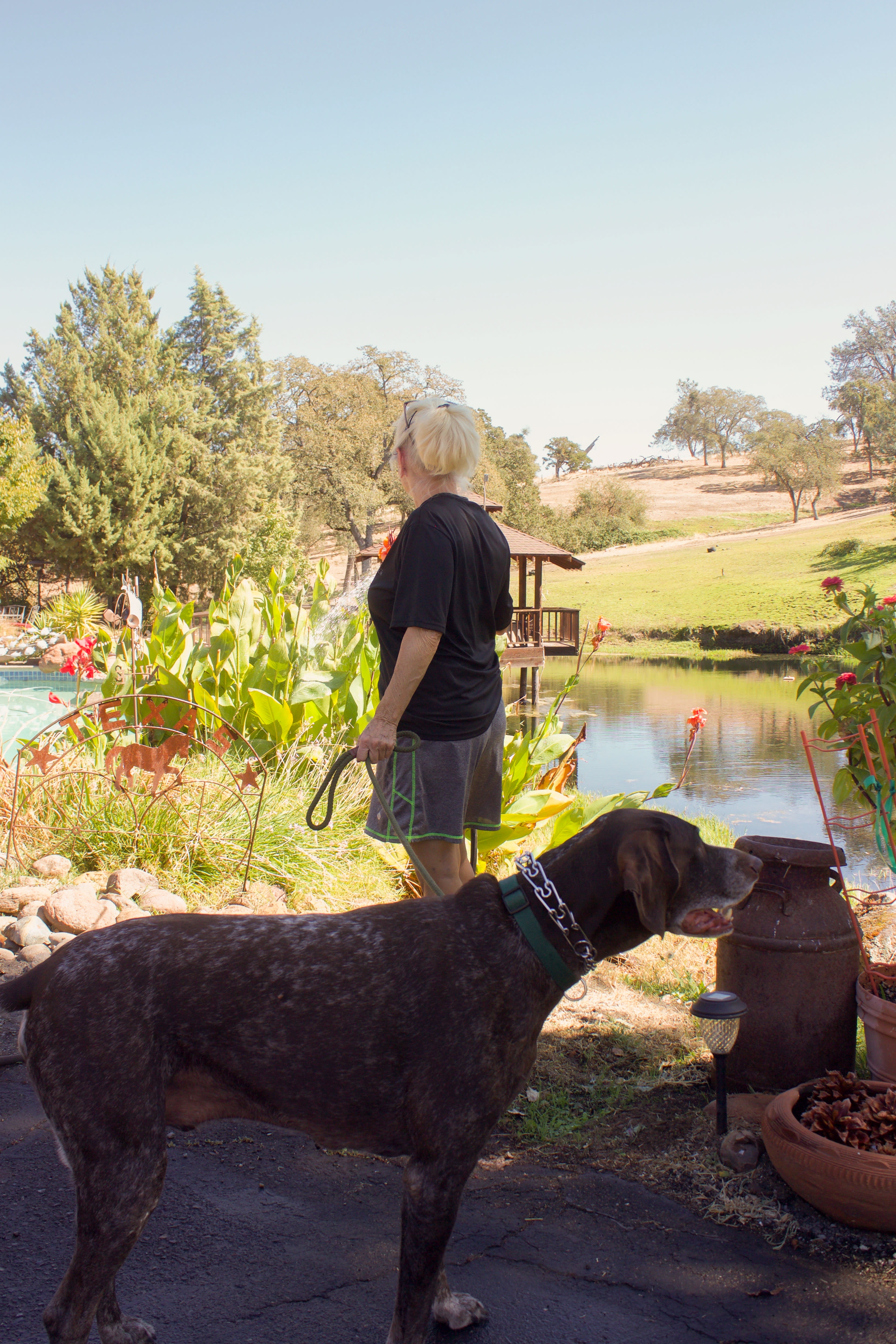 Our amazing host's mother who runs the property too! She gave us plenty of recommendations for around the area, and made sure we were all taken care of, and her dogs were as friendly as can be. 