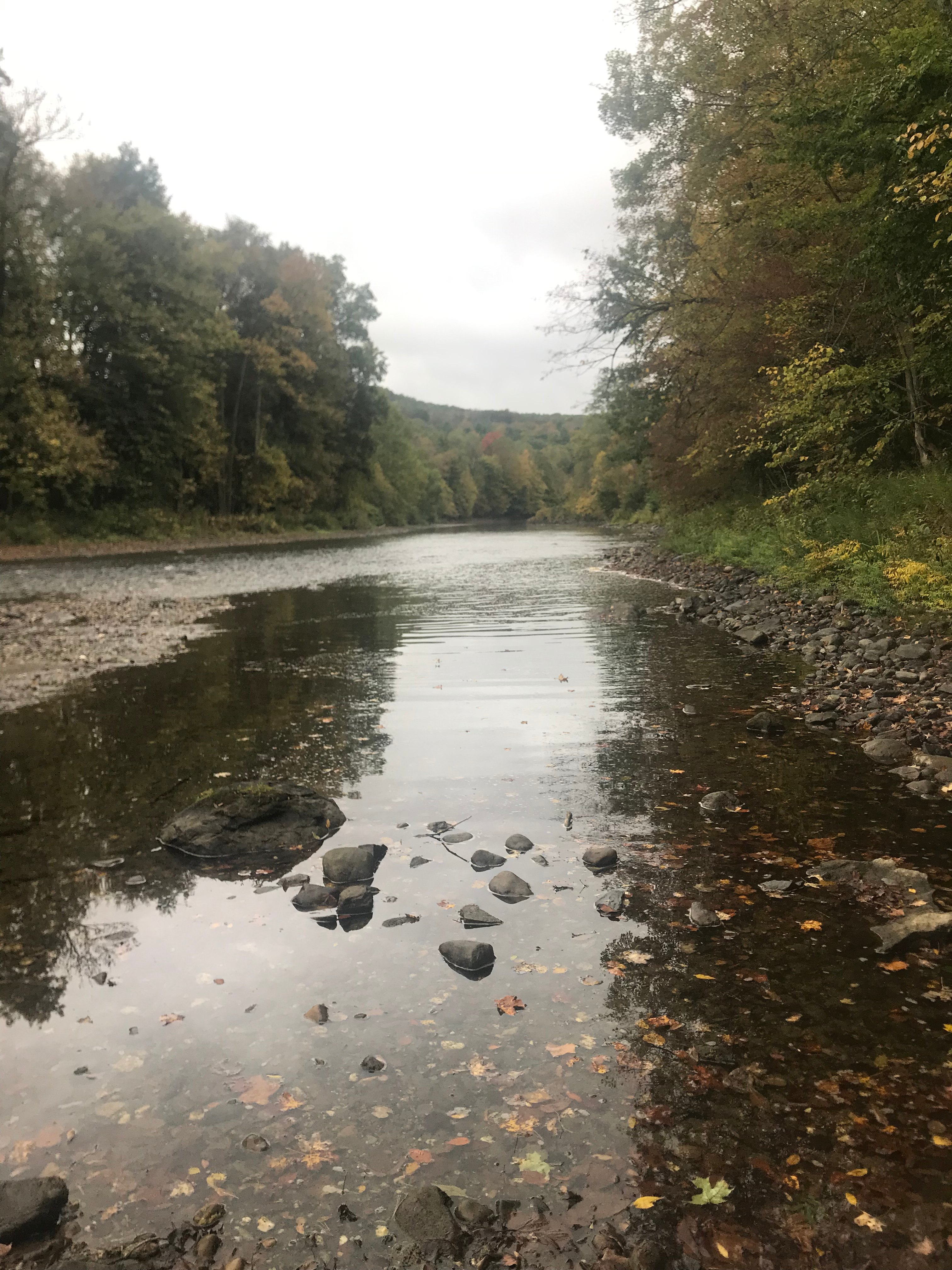 Apartment on the Battenkill River