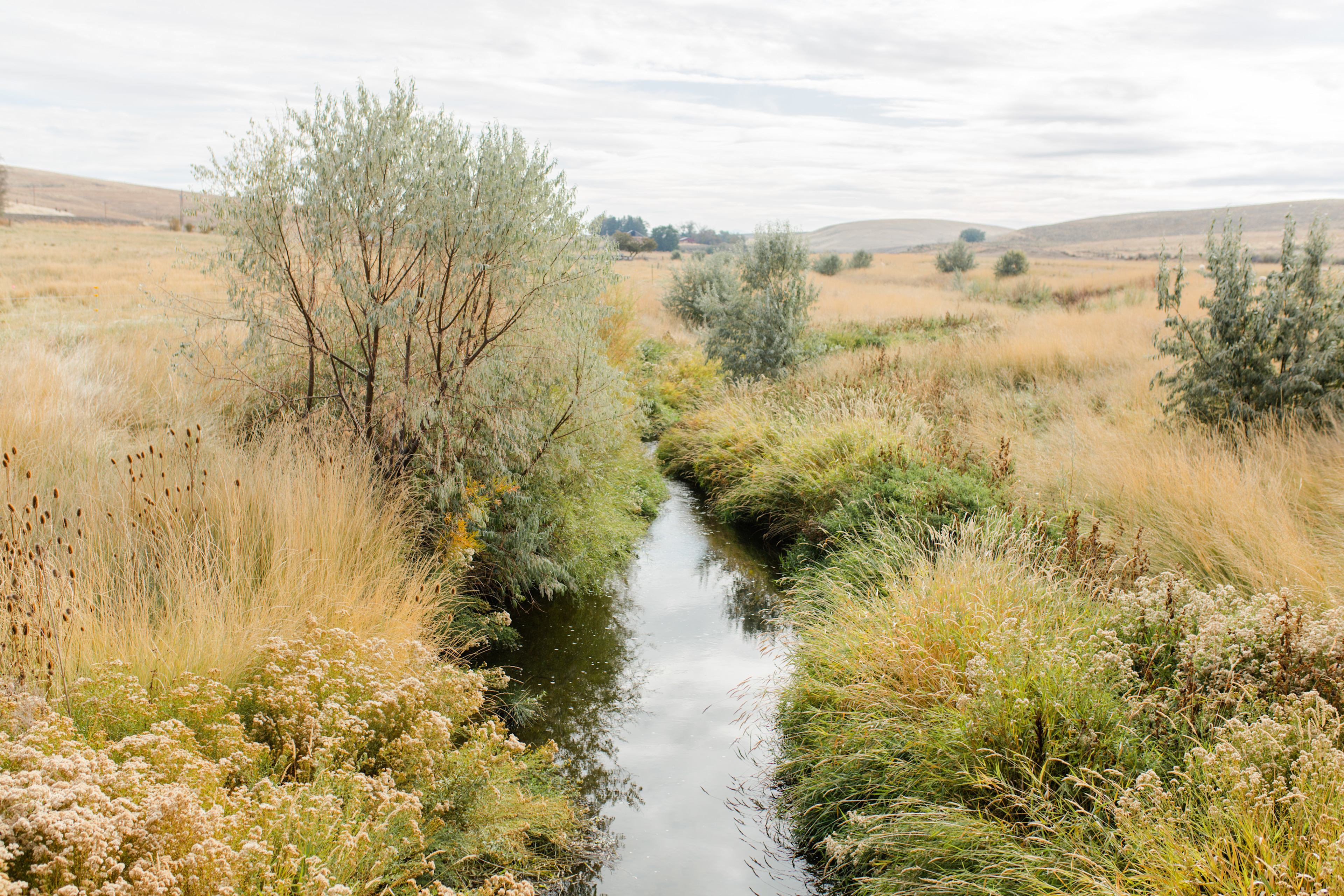 The creek that runs through the property is beautiful!