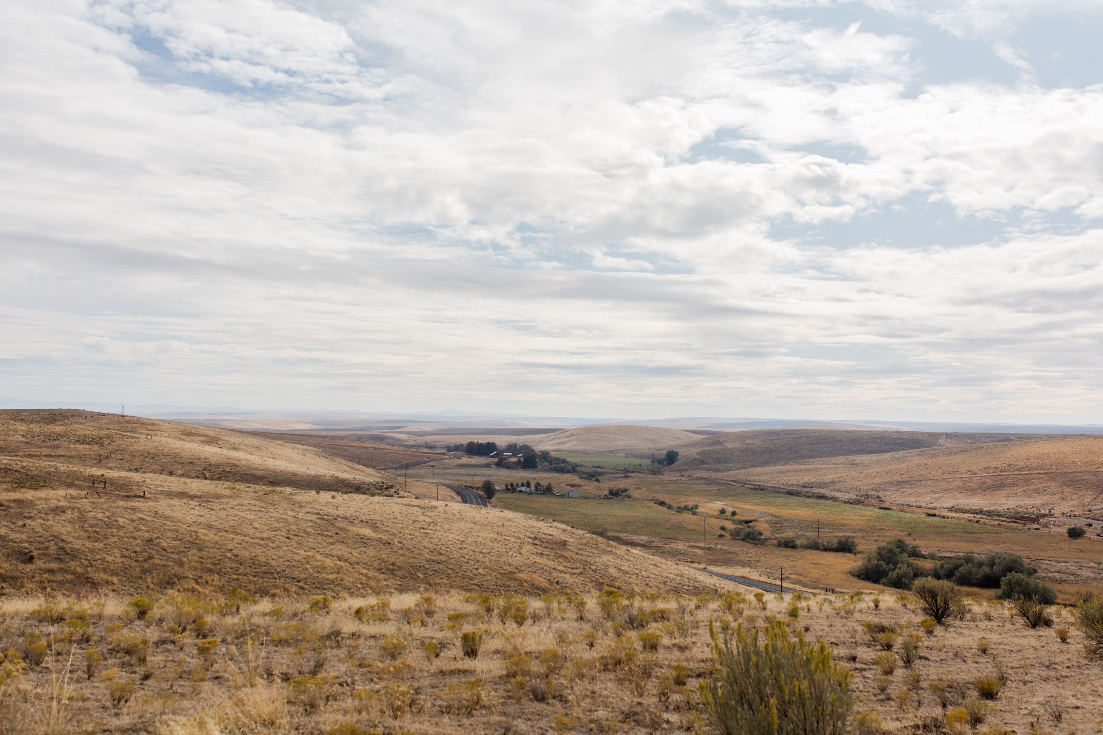 The view from up on one of the hills in the property. Drive up and camp out on the lookout of just go for a walk!
