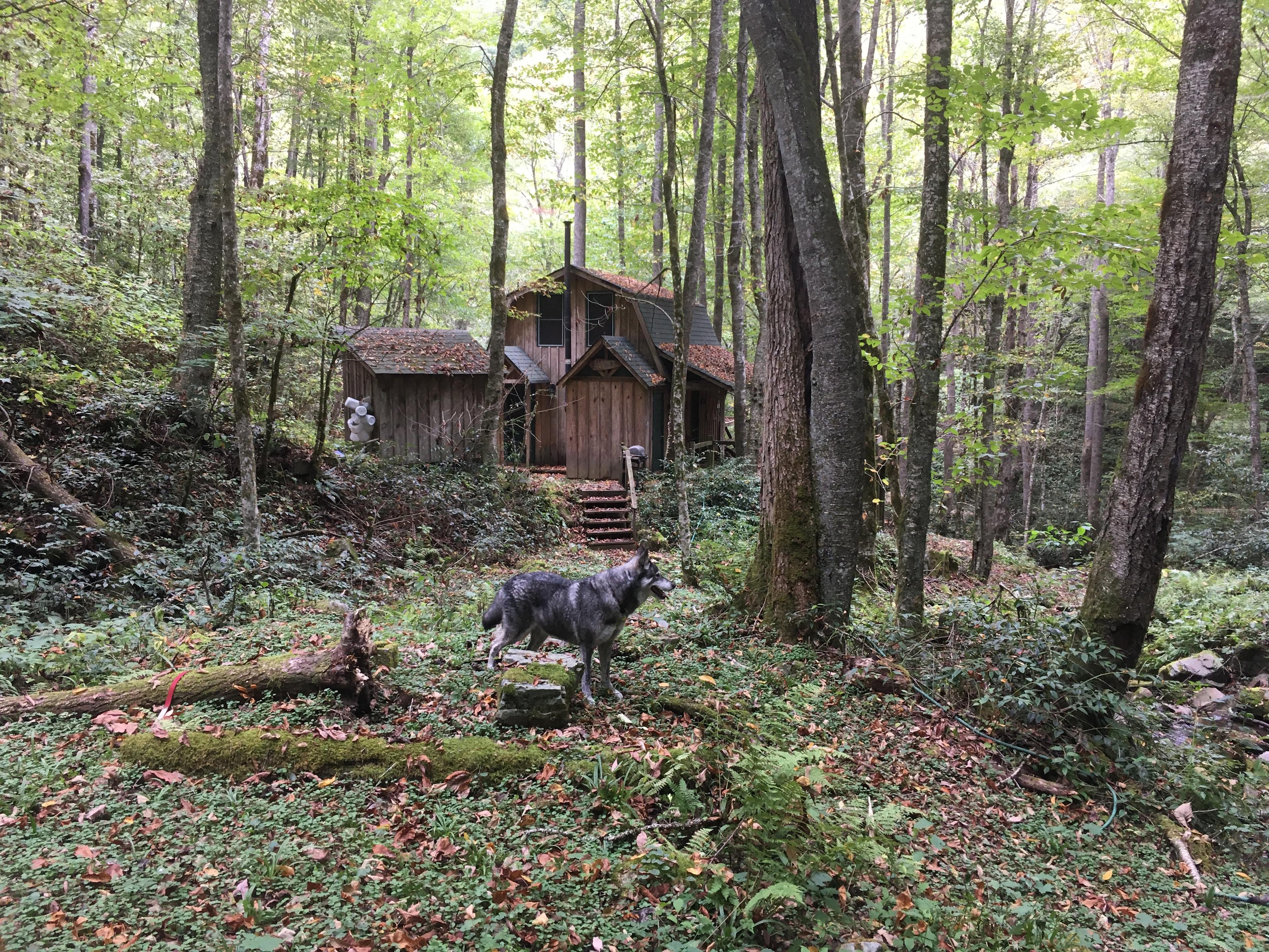 Indigo Eagle Sanctuary