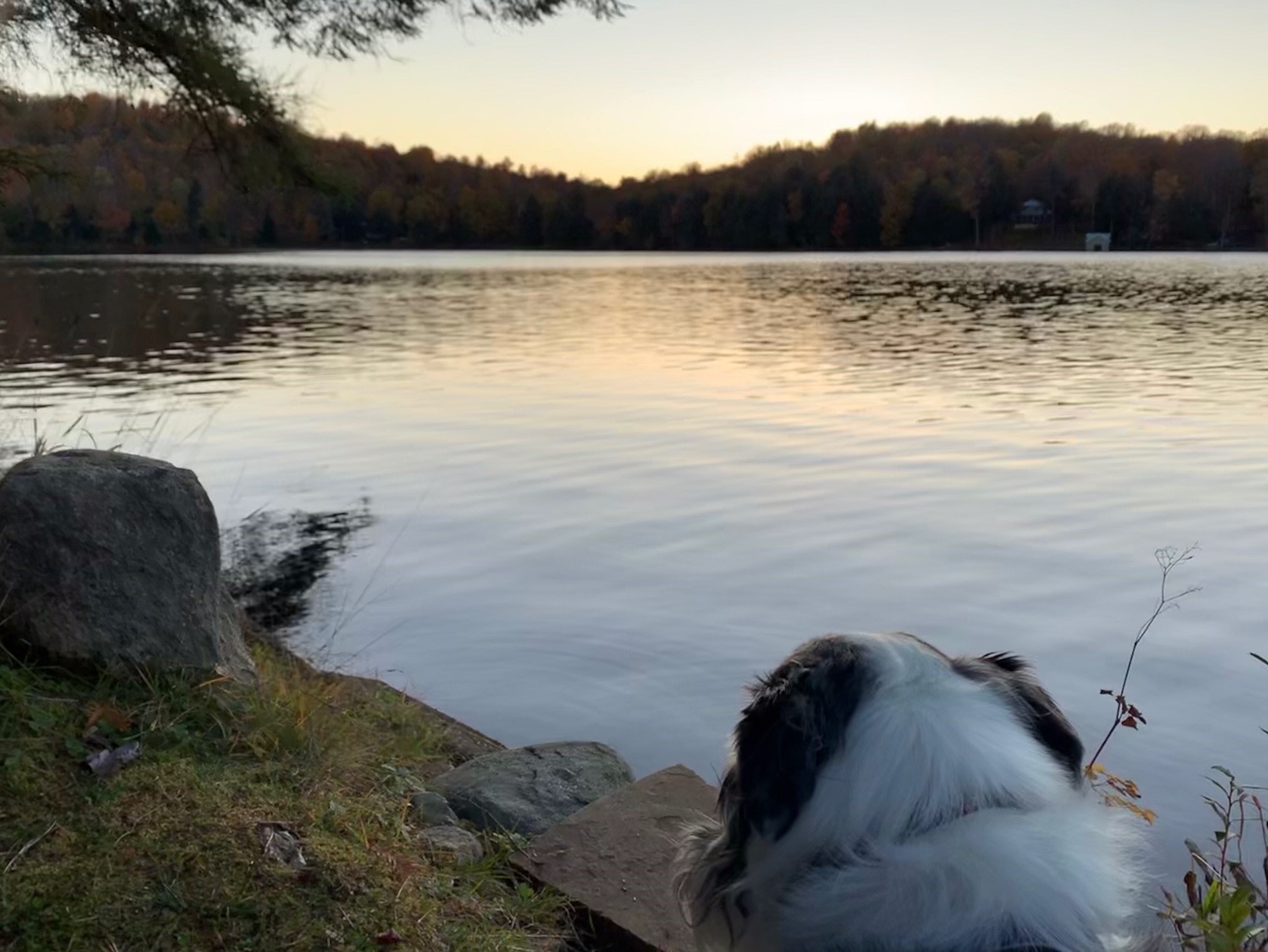 Fishing on Sterling Pond. 