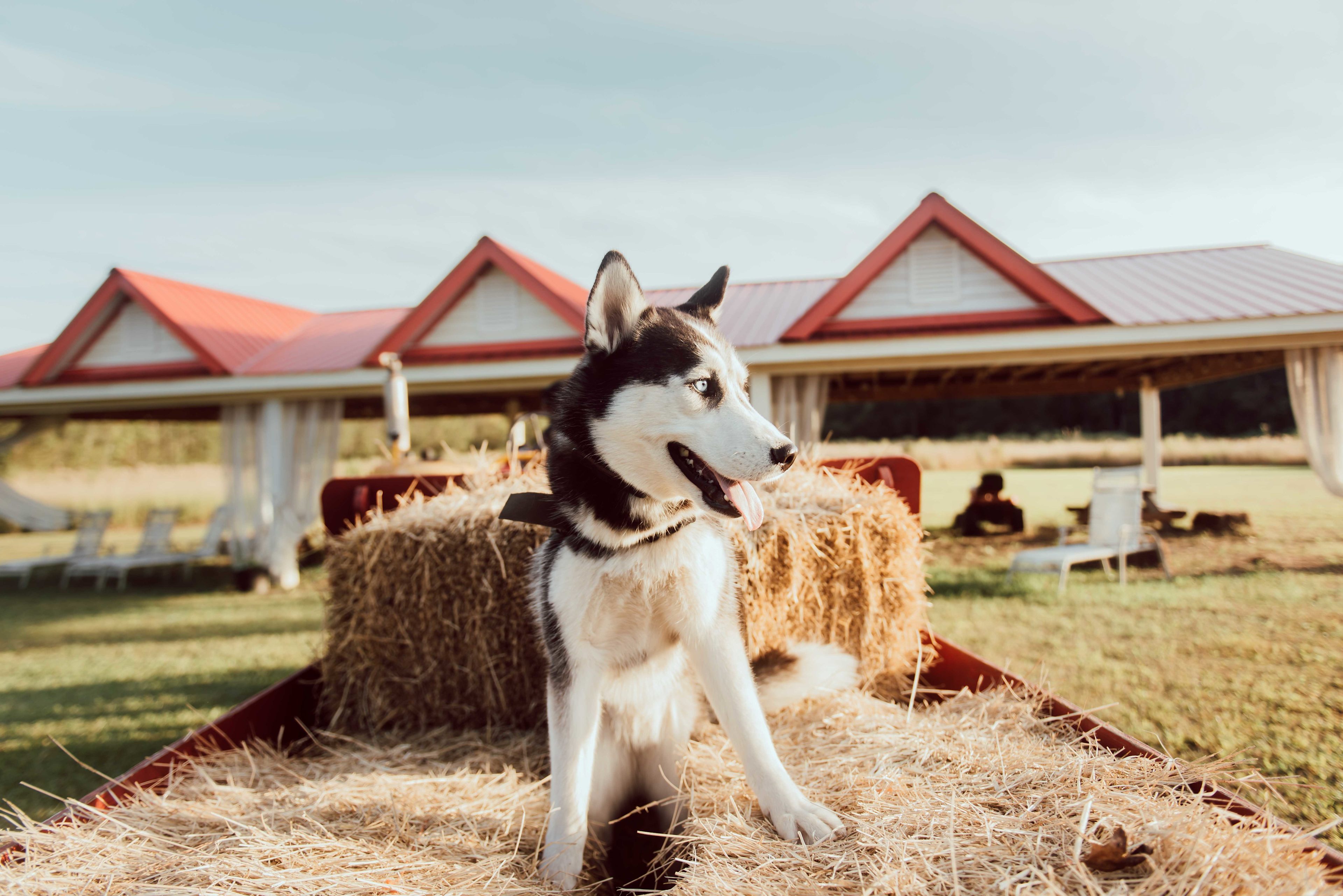 Untouched at Livingston Creek