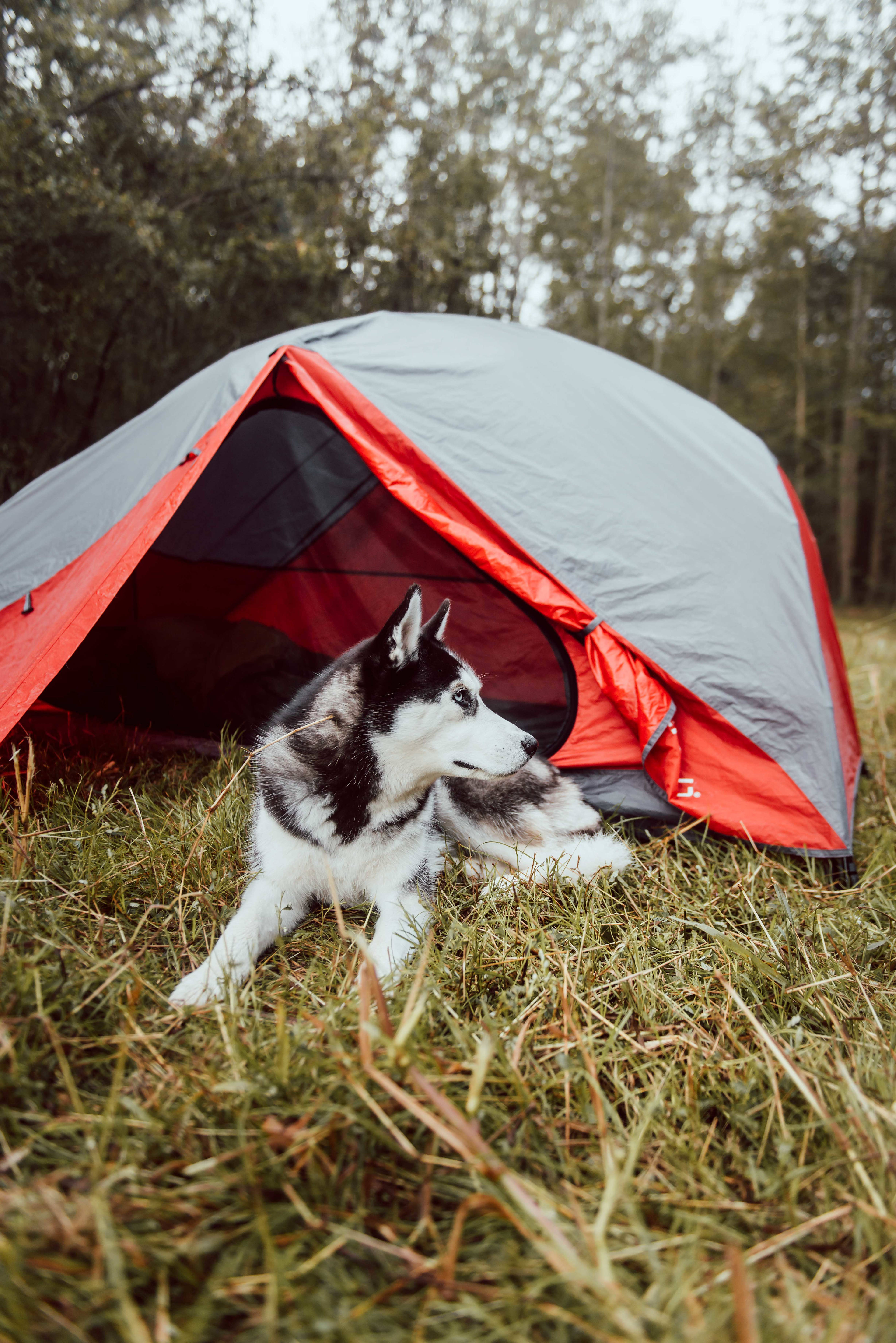Untouched at Livingston Creek