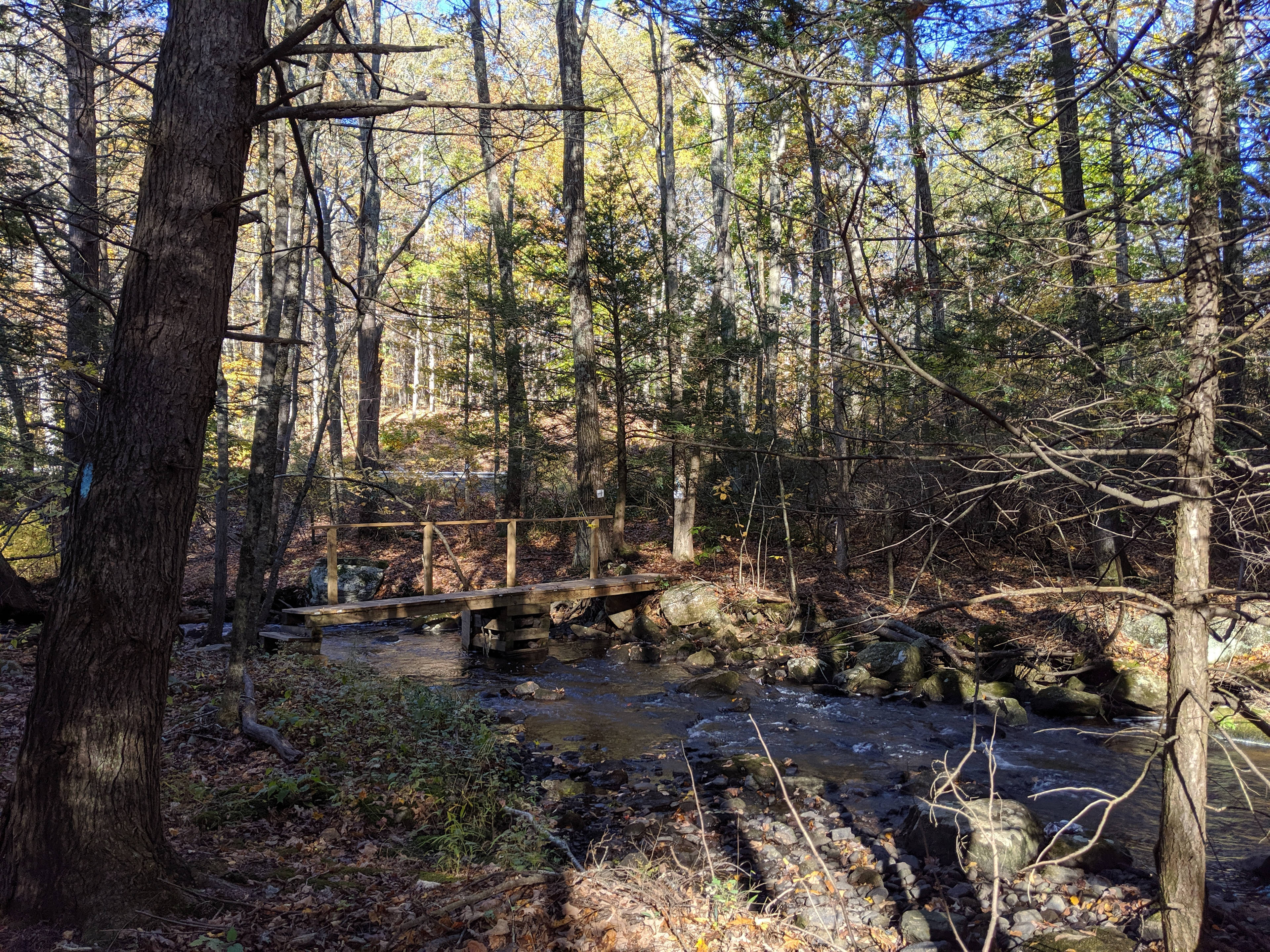 This is the larger bridge, looking towards the road where the entrance is.