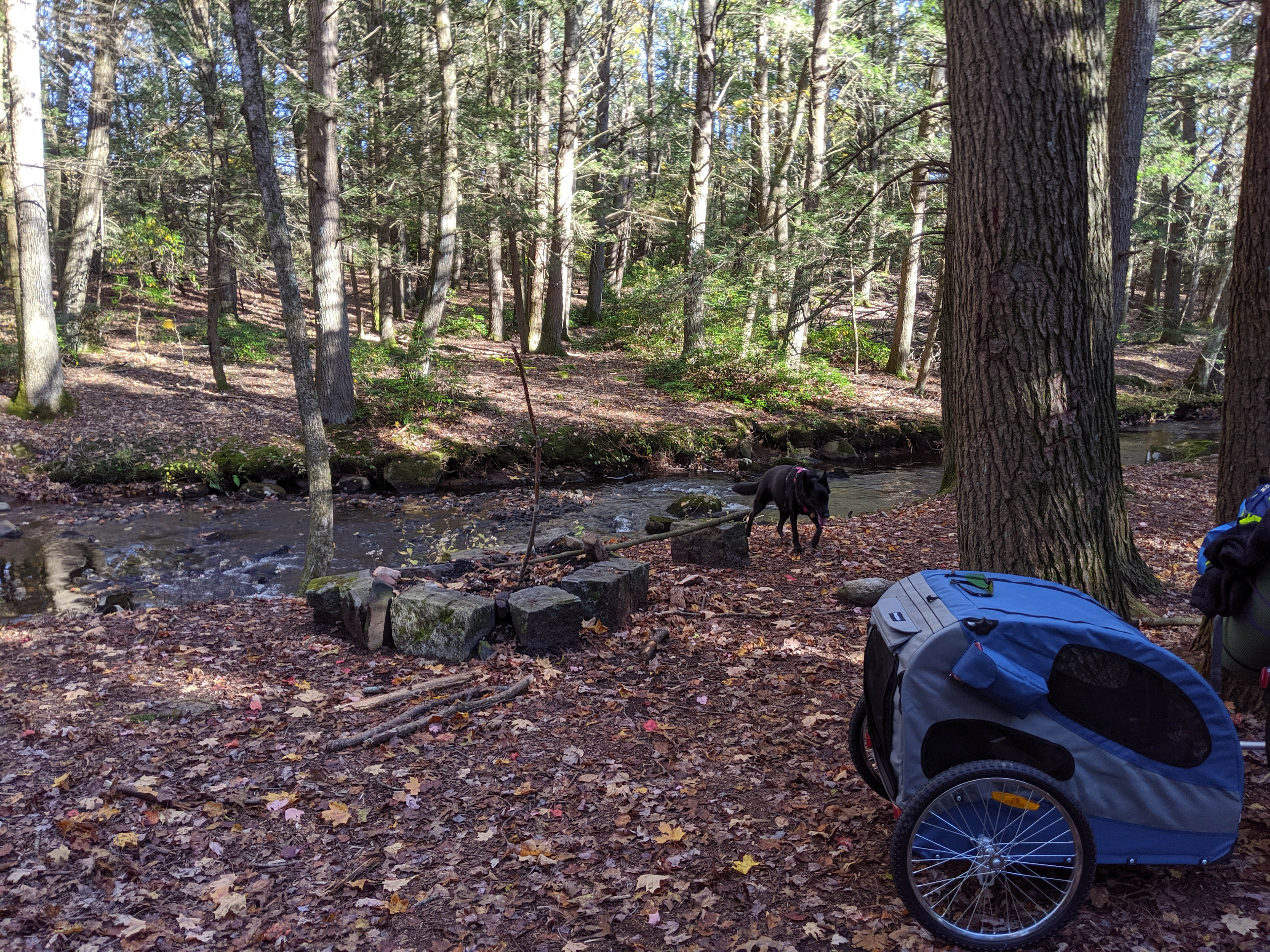 Campsite showing the fire pit next to the brook. 