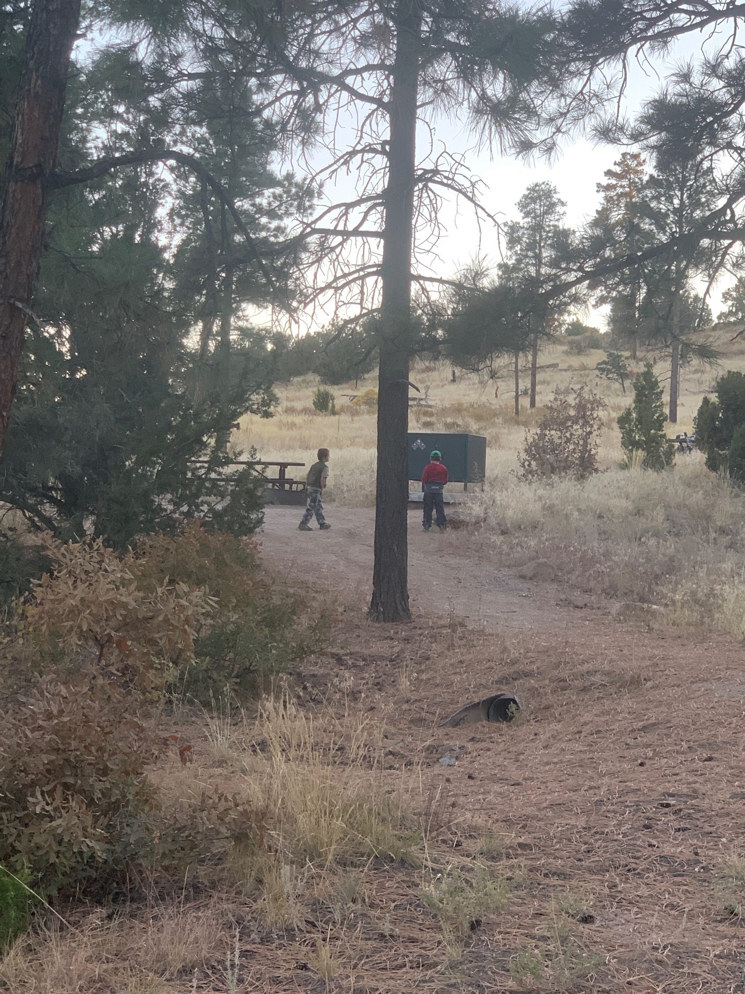 Site next to ours-- backing to the forest/open space, bear boxes provided