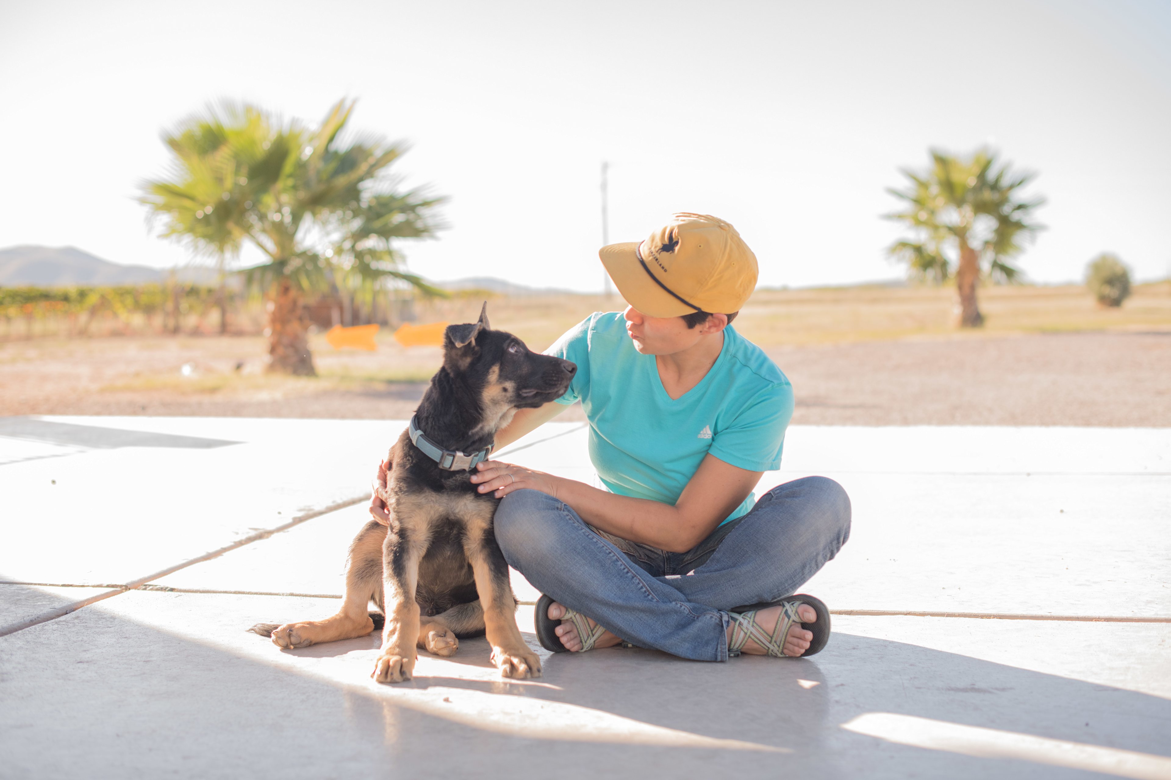 High Lonesome Vineyard & Hipcamp