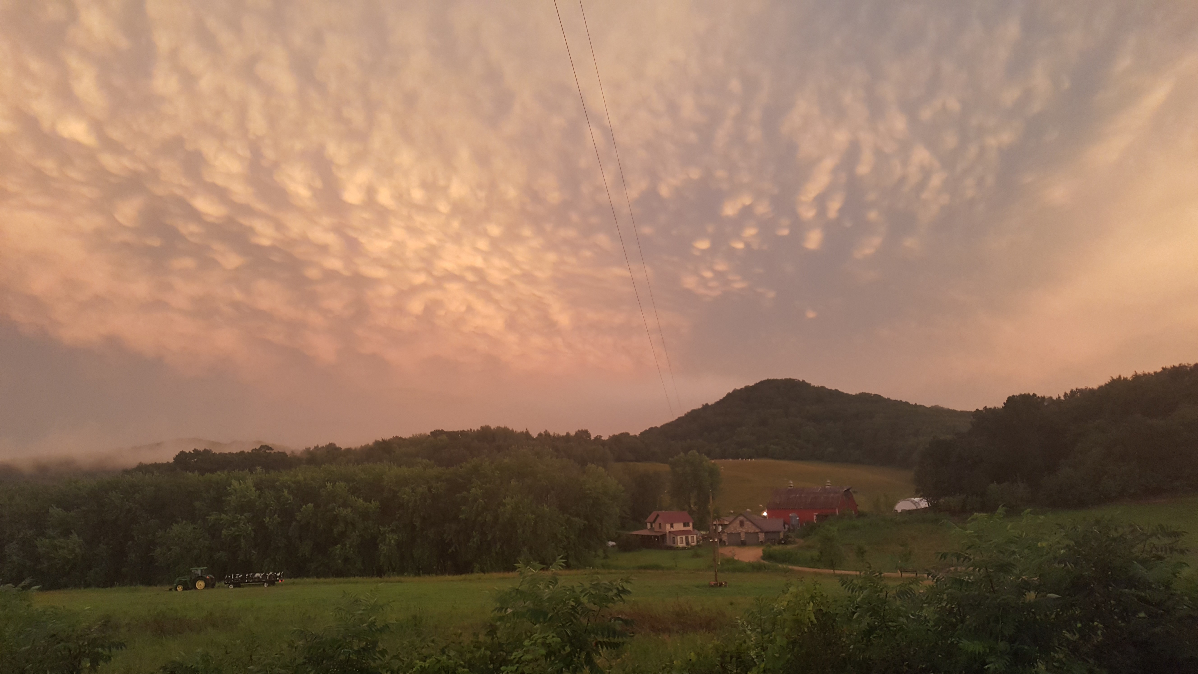 A view of our farm in summer. Campsite 1 is just at the top of the first ridge behind all the buildings. It's so pretty here. 
