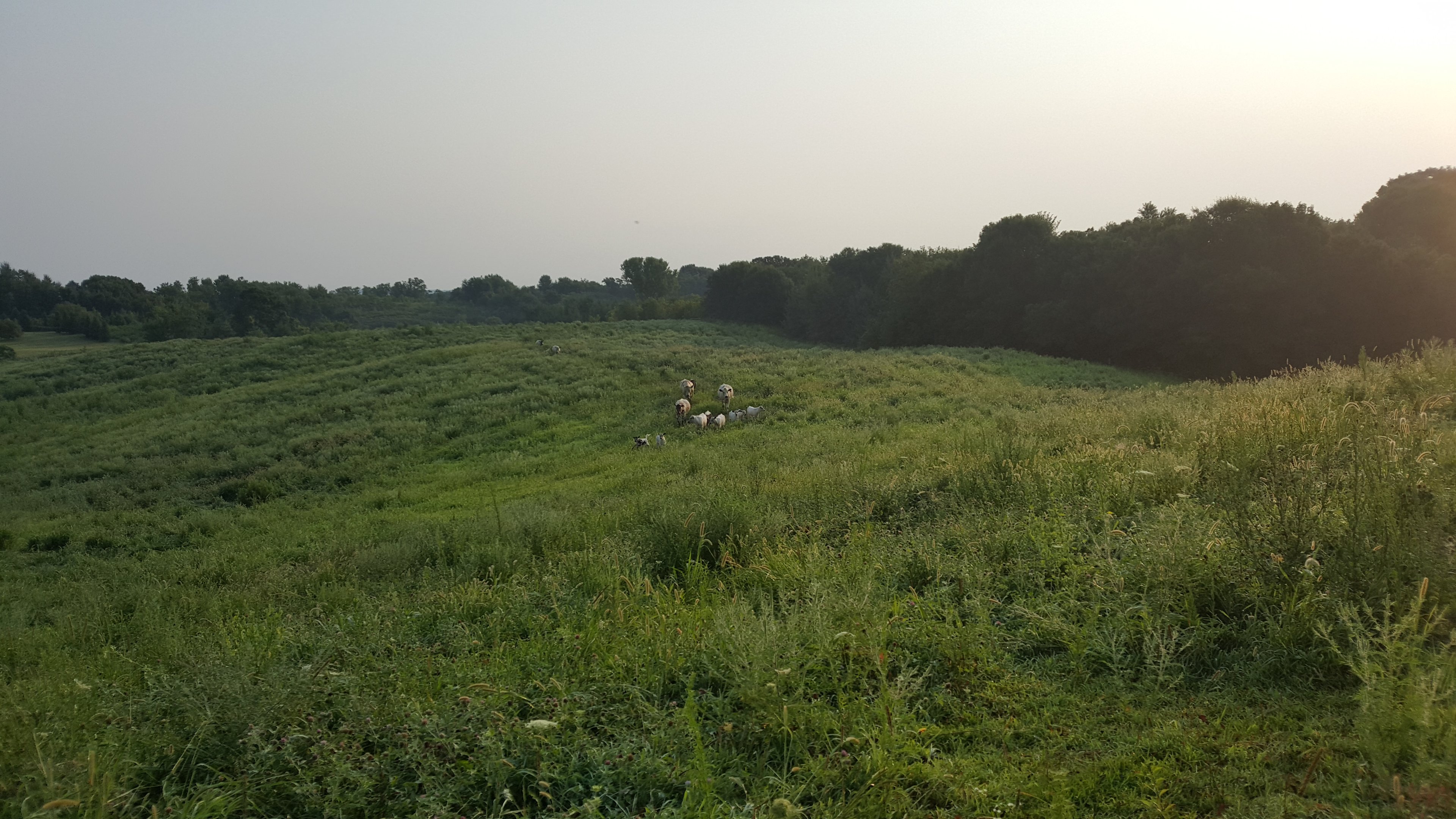 Camping at Together Farms