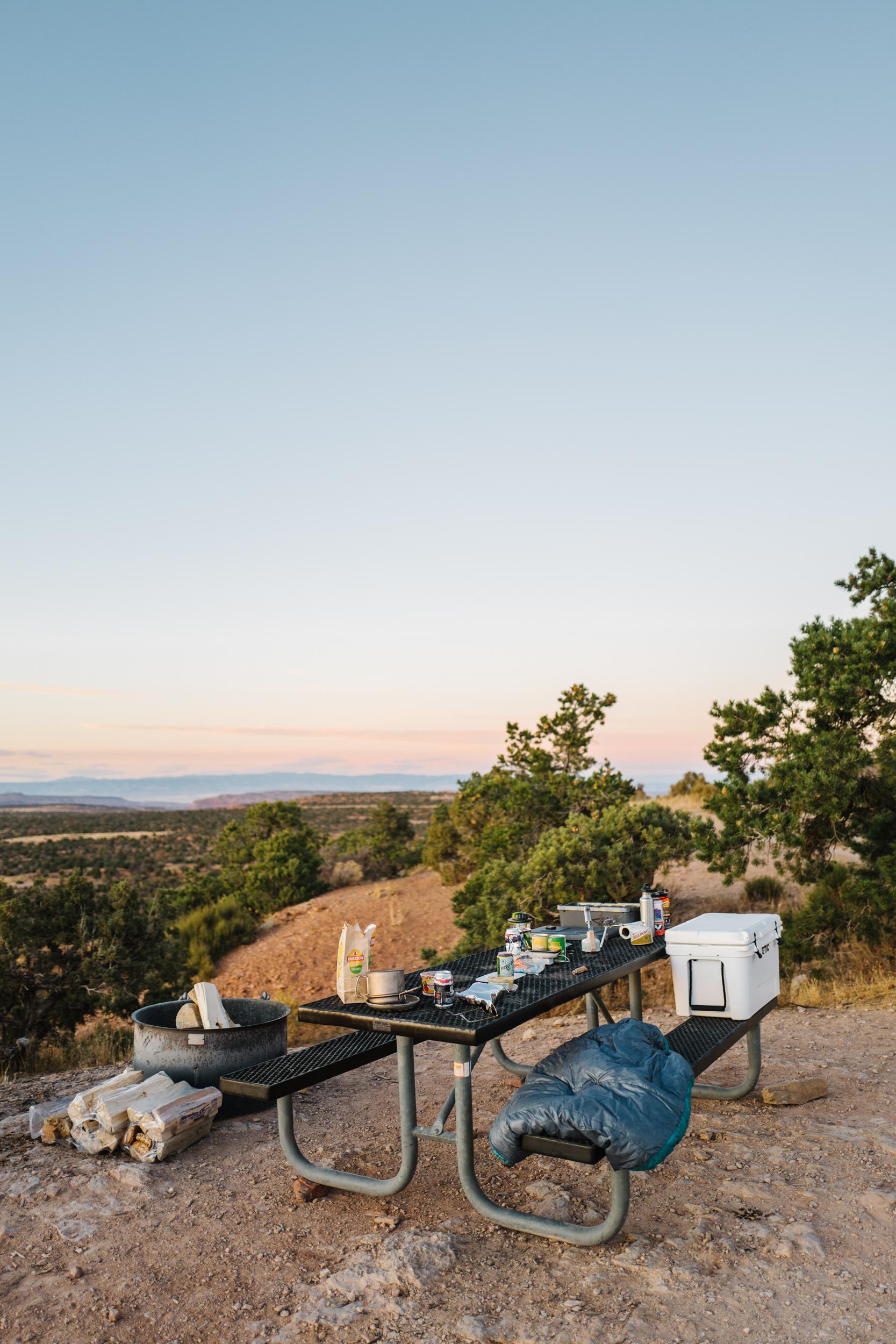 Picnic table and fire pit at Site #6.