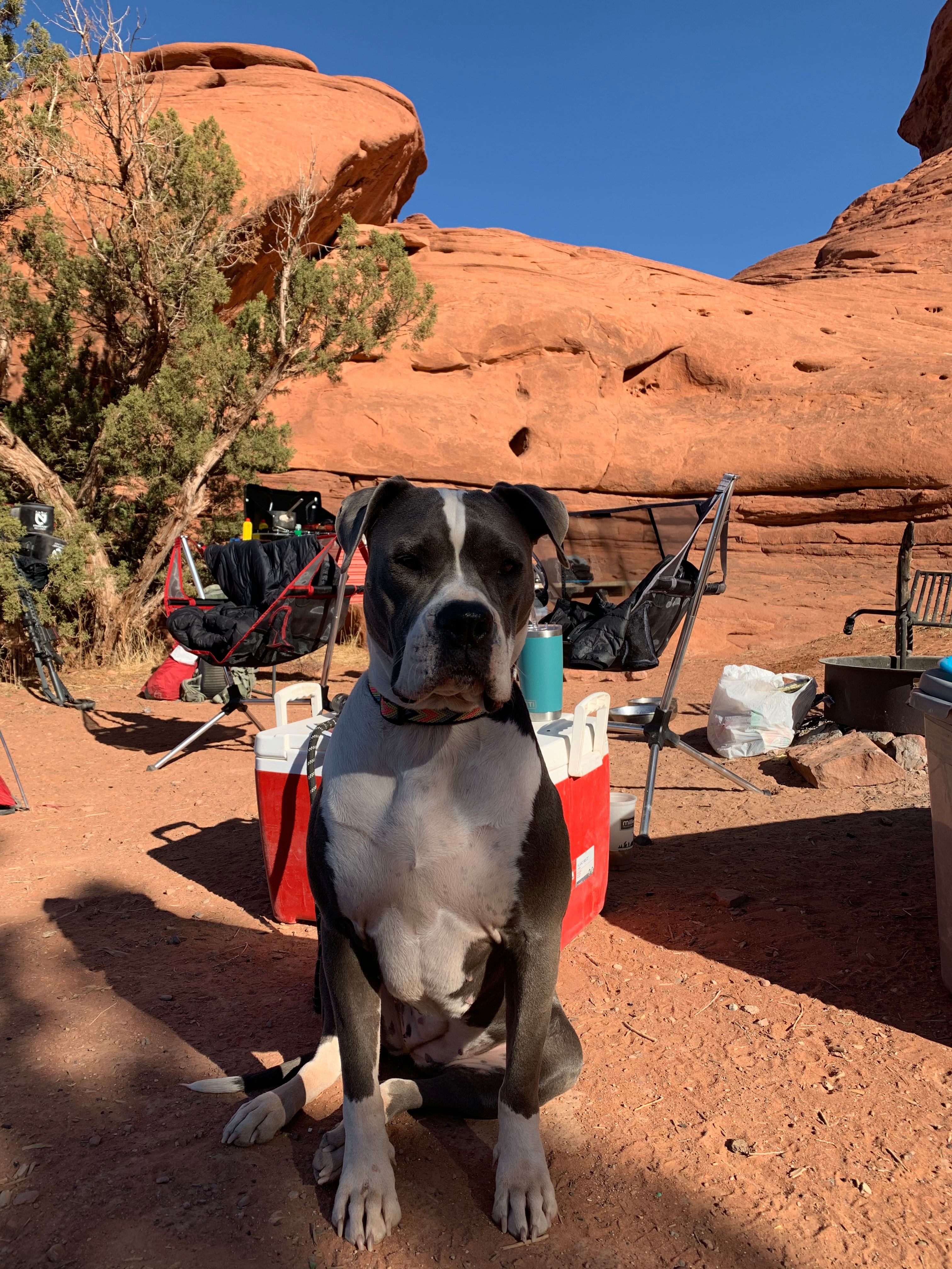 The Needles Outpost Campground
