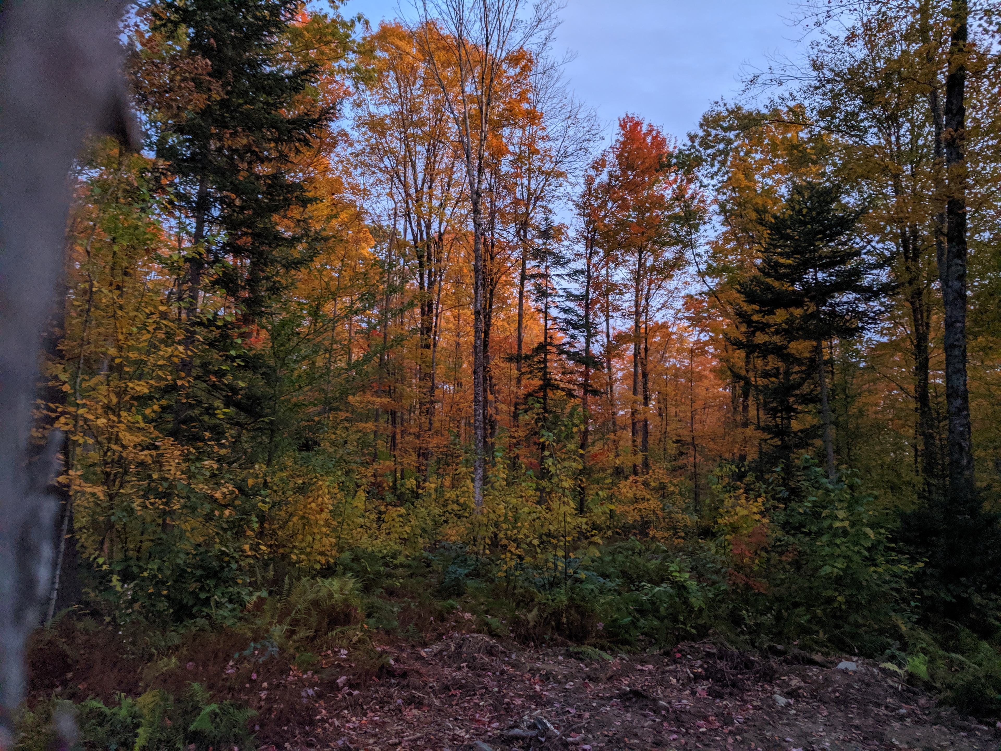 Secluded Back Country Camping