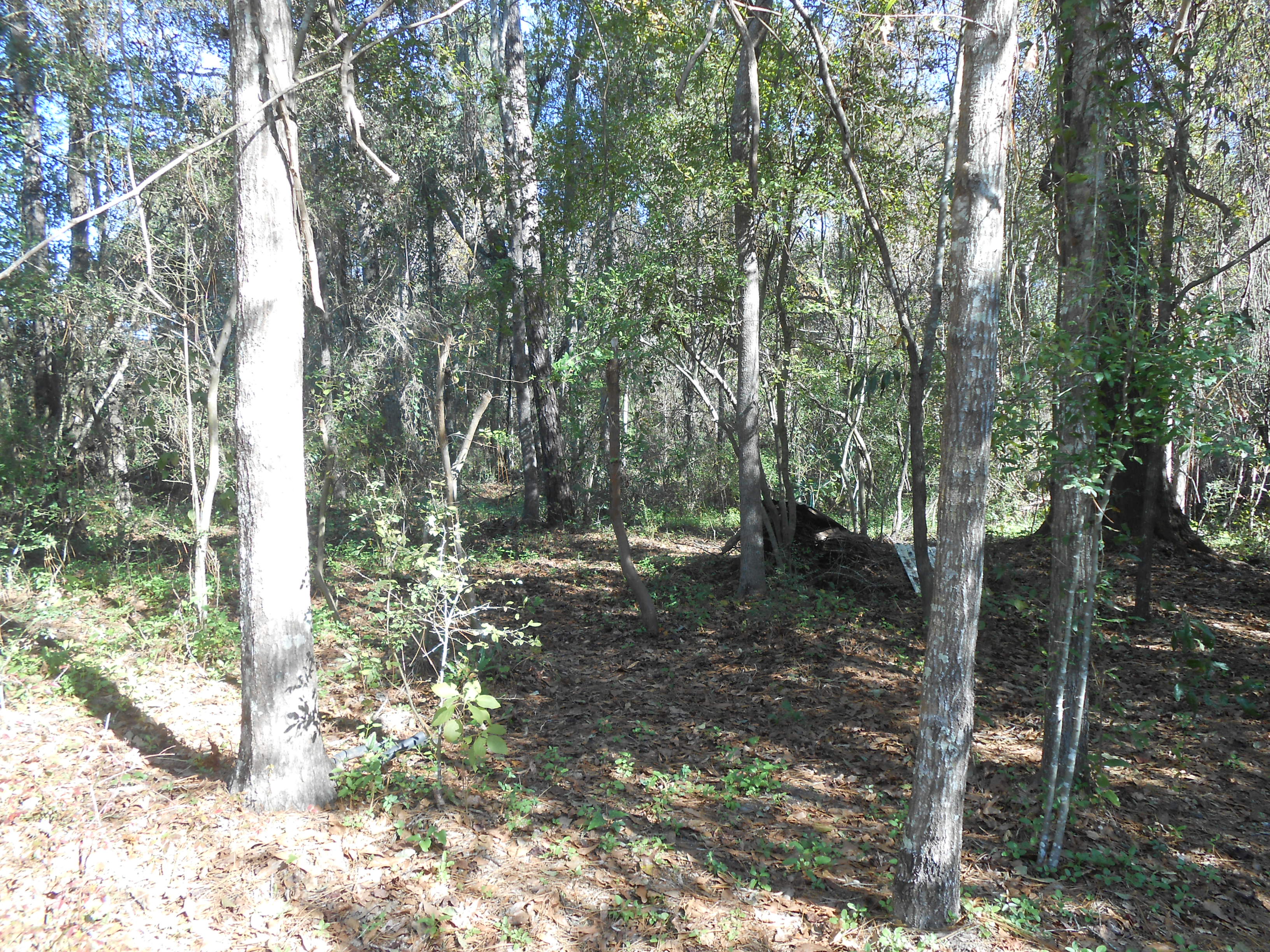 Serenity Gardens Bicycle Campground