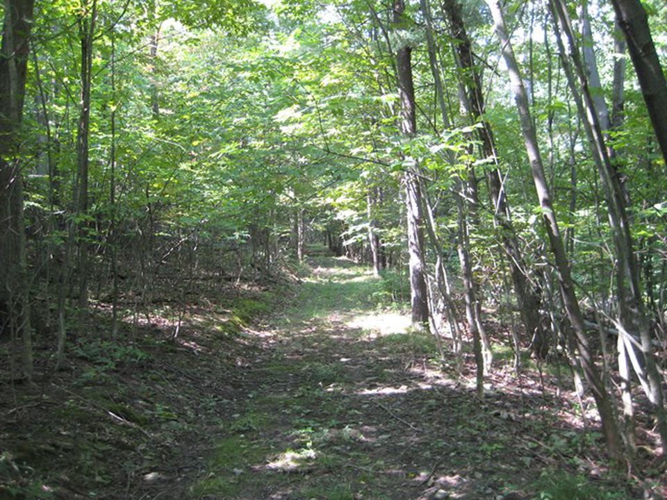 Hiking Trail